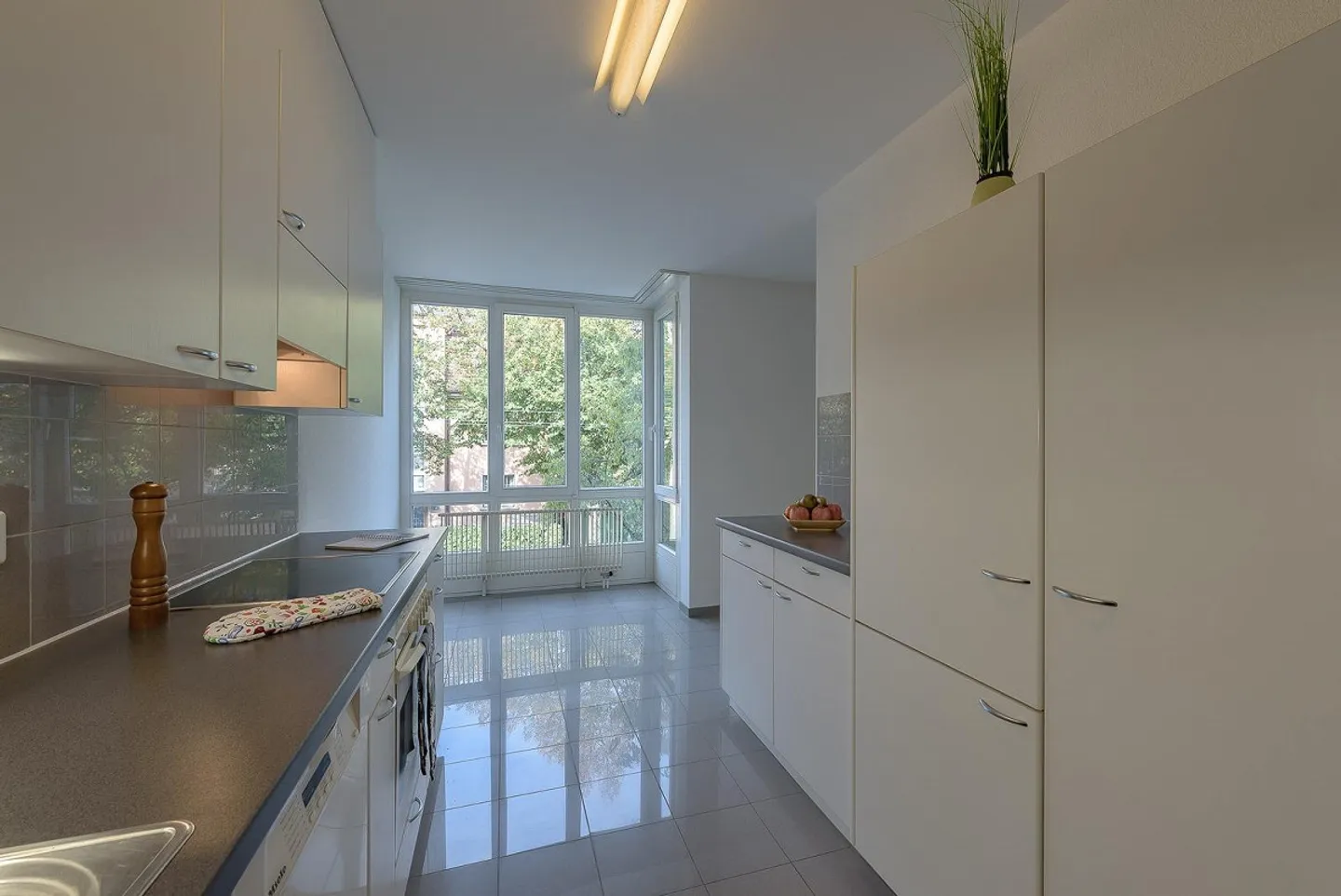 Bright apartment near Allschwil - Photo 4 of 8