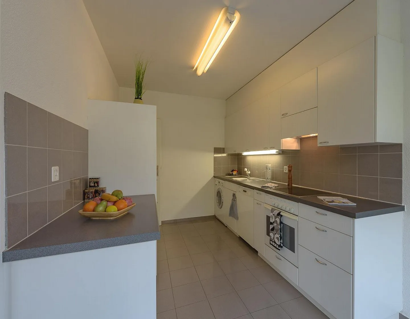 Bright apartment near Allschwil - Photo 5 of 8