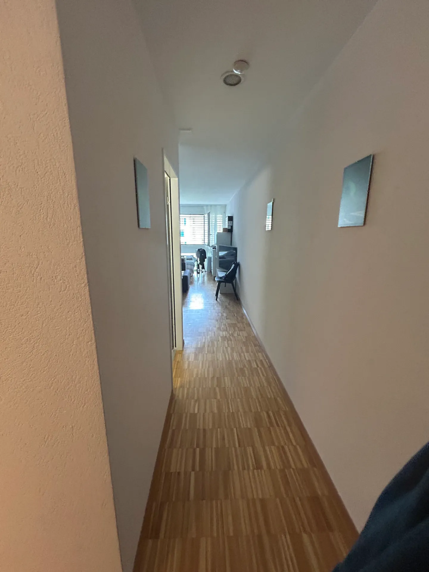 Charming Studio in Renens - Photo 3 of 8