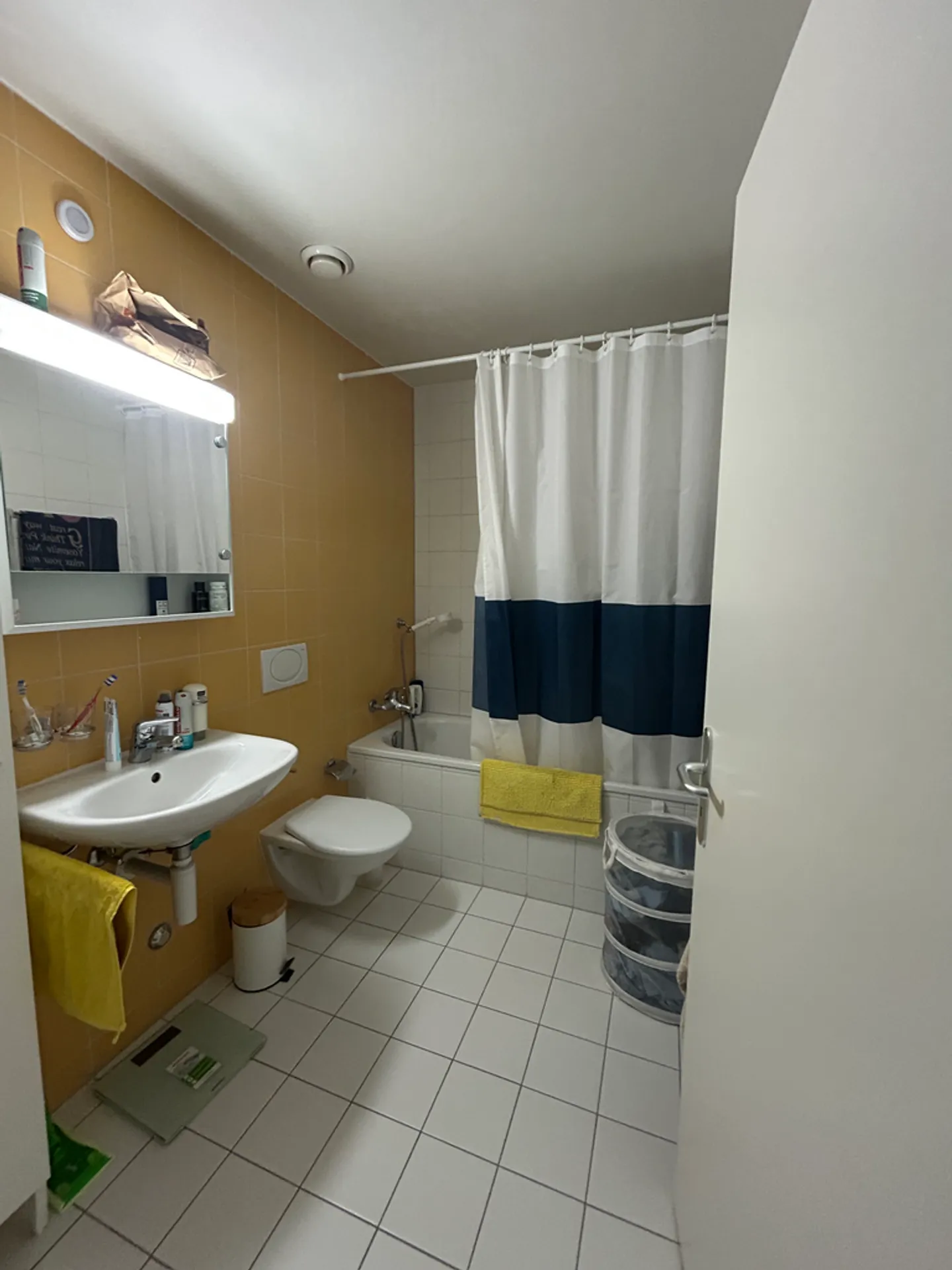 Charming Studio in Renens - Photo 8 of 8