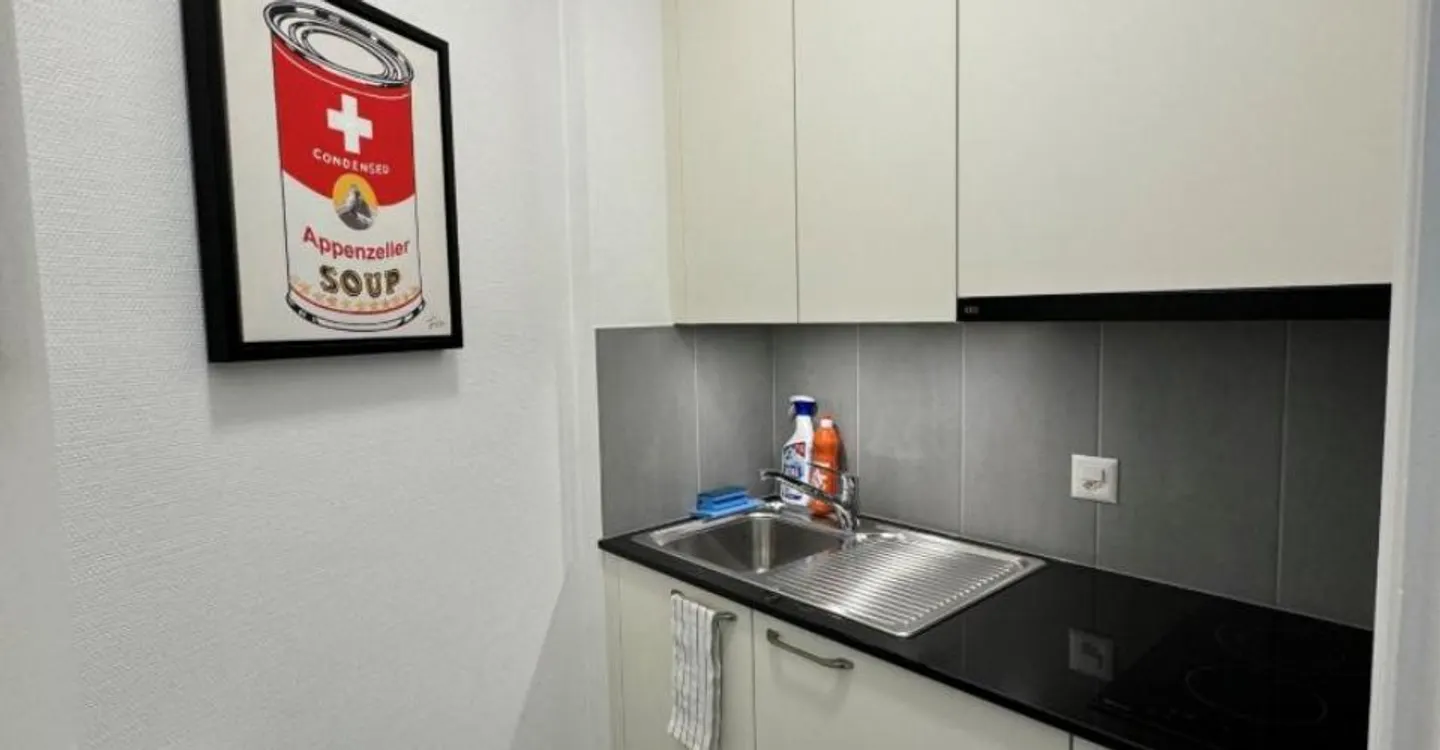 Furnished Studio Apartment - Photo 2 of 8
