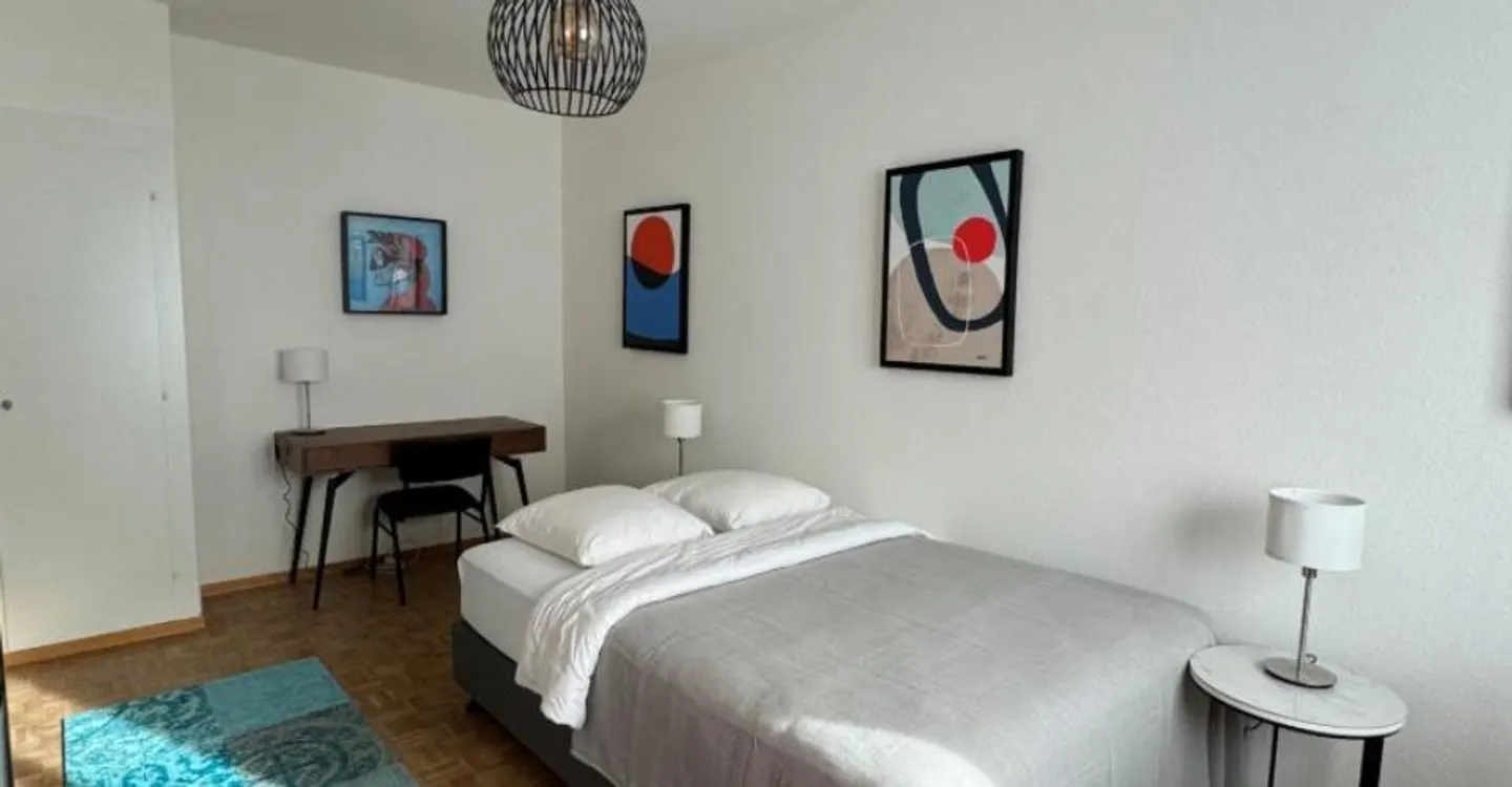 Furnished Studio Apartment - Photo 5 of 8