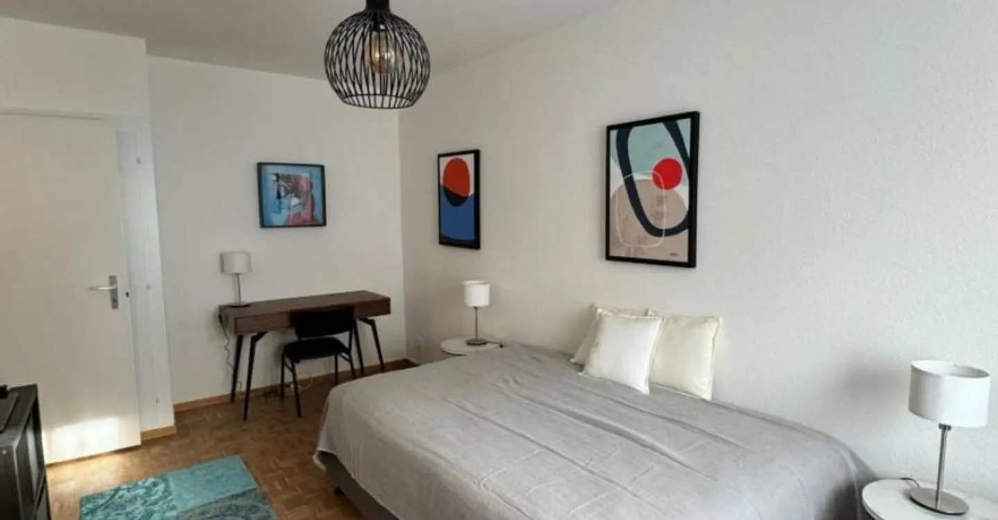 Furnished Studio Apartment - Photo 7 of 8