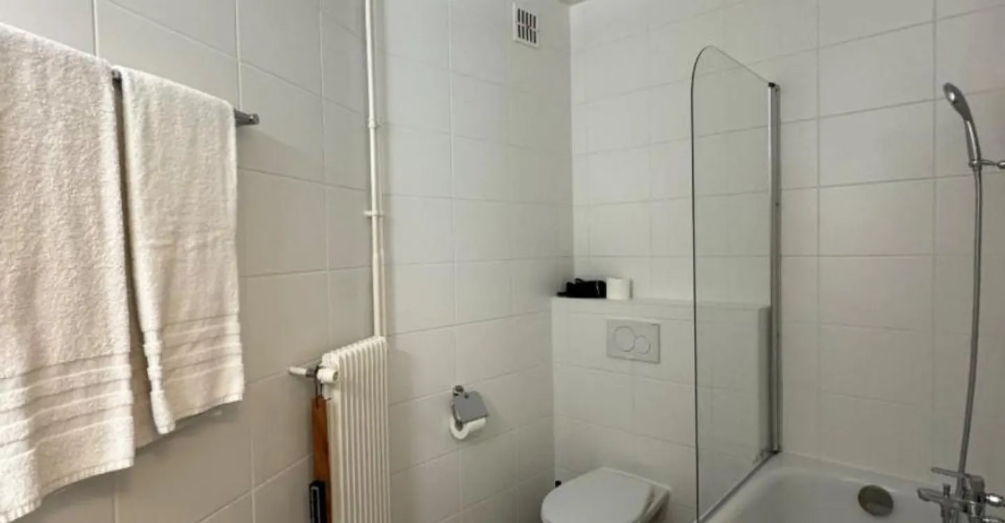 Furnished Studio Apartment - Photo 8 of 8