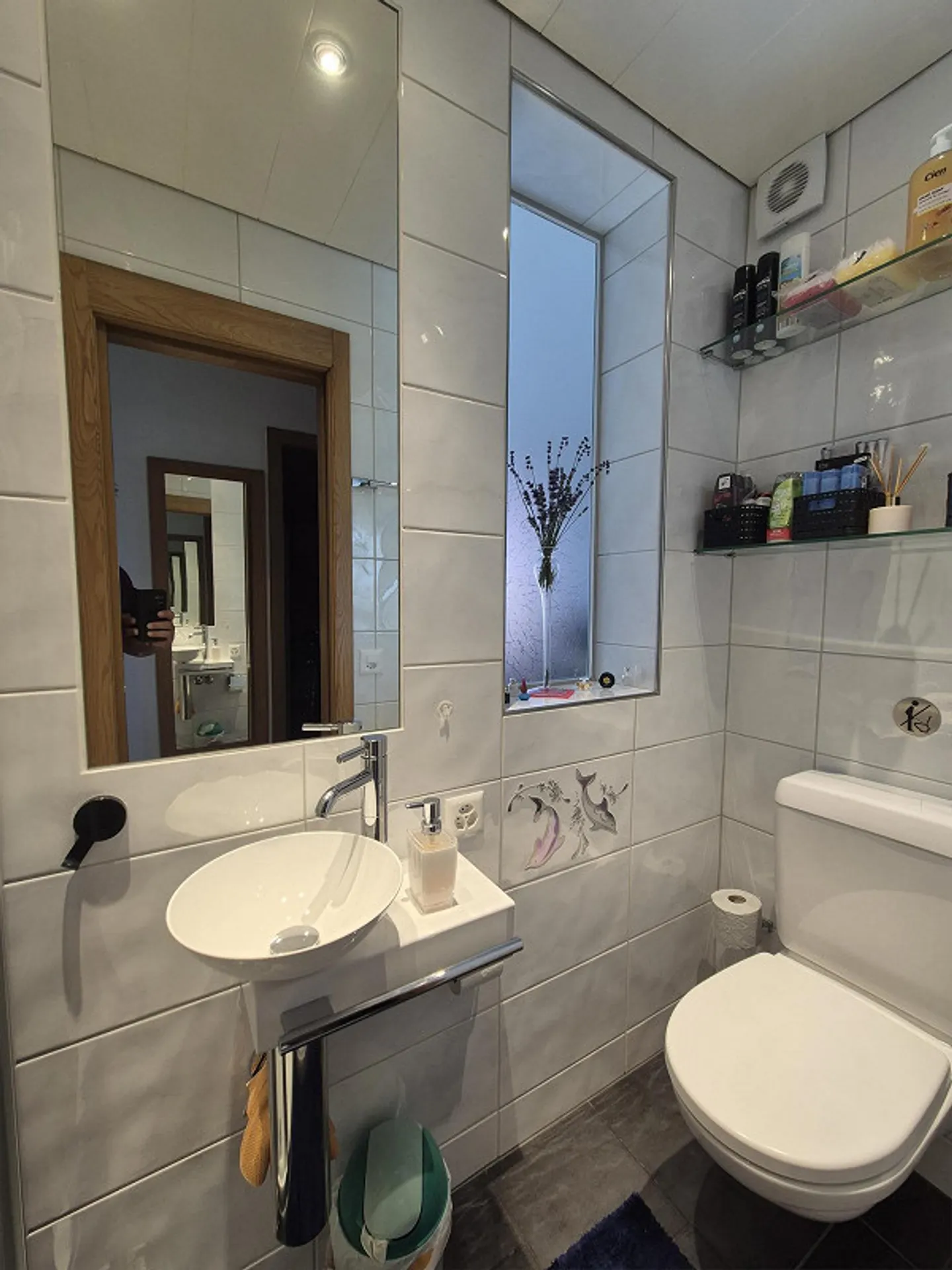 Charming Garden Apartment with Feel-Good Guarantee - Photo 5 of 8