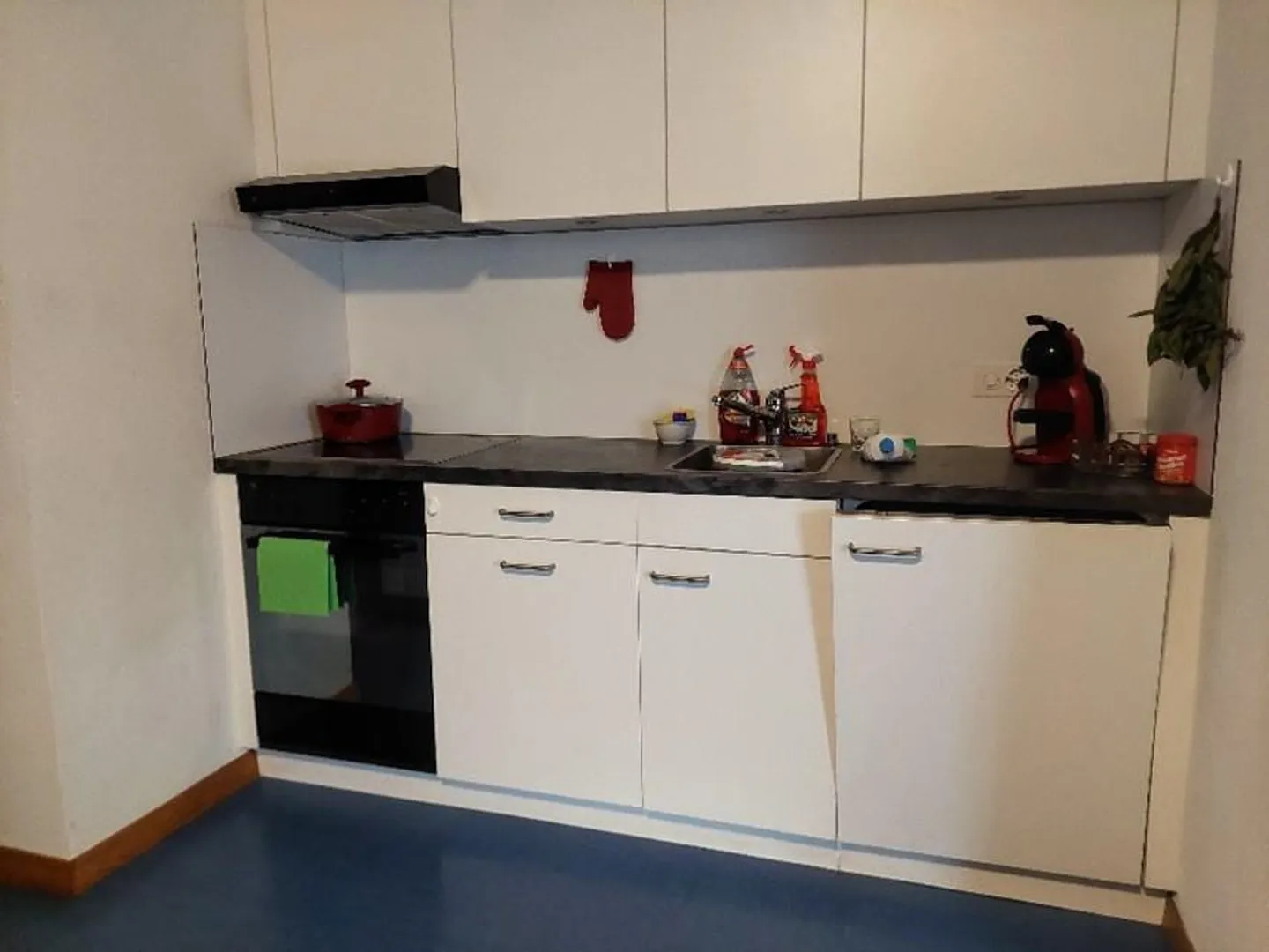 Friendly and centrally located 2.5 room apartment - Photo 1 of 4