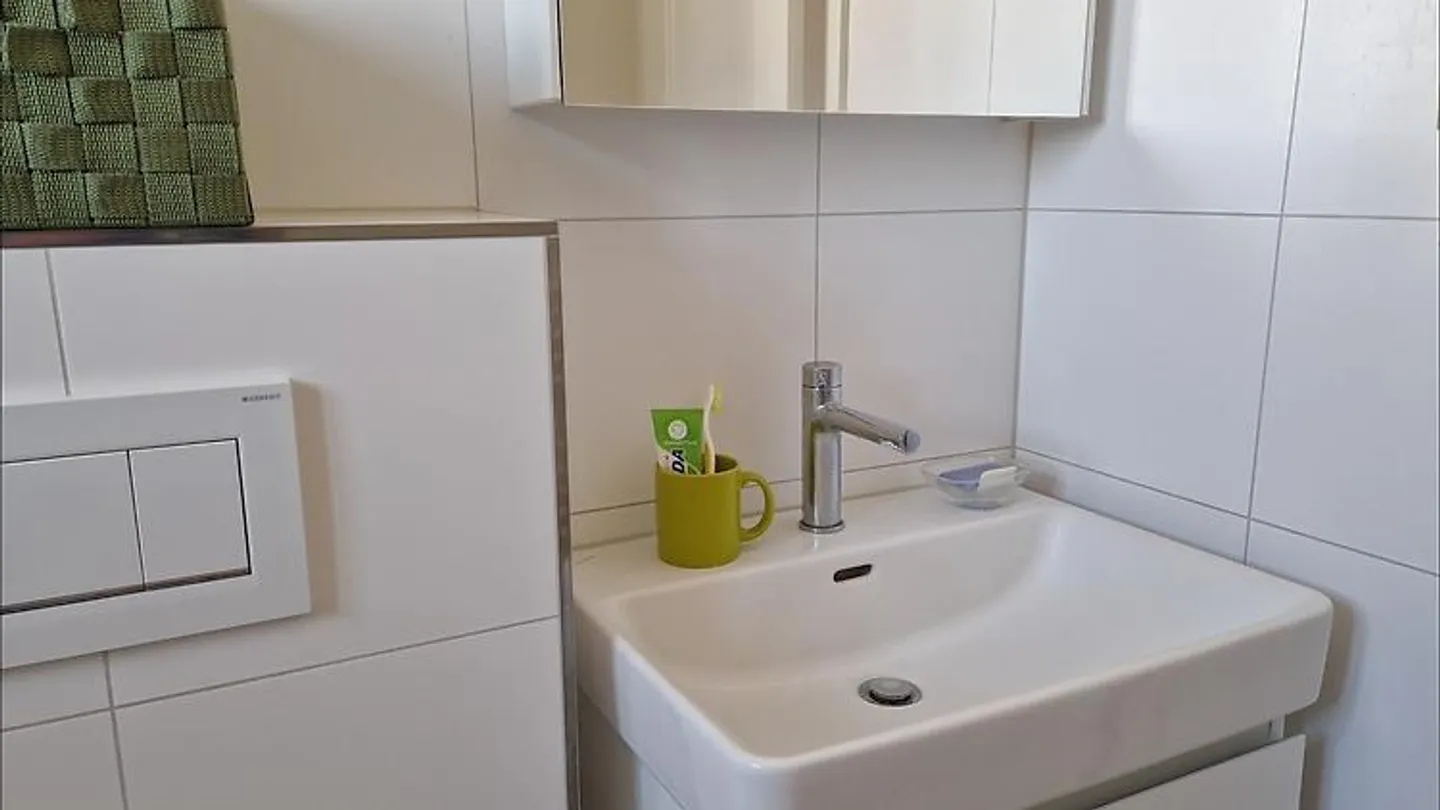 Helle 3-Zimmer-Wohnung in Urdorf - Foto 6 von 7