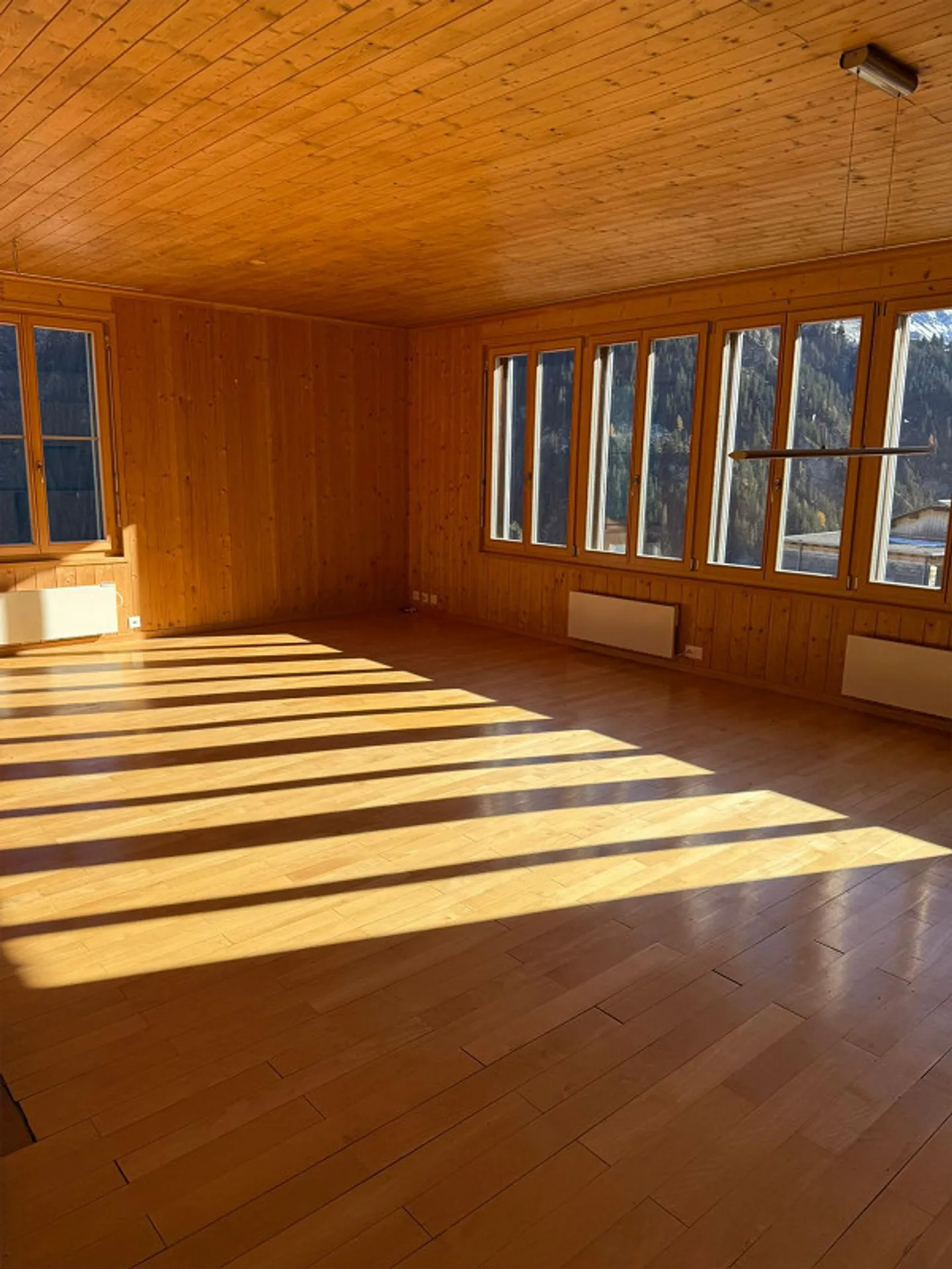 Appartamento accogliente di 3,5 stanze a Zalön, Safien disponibile immediatamente o su appuntamento - Foto 2 di 19