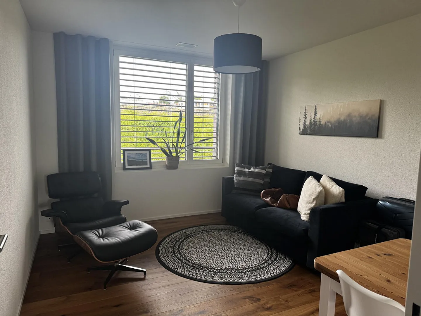 Recherche de locataire – Appartement neuf 4.5 pièces (2022) avec vue sur le lac à Rapperswil-Jona - Photo 7 sur 9