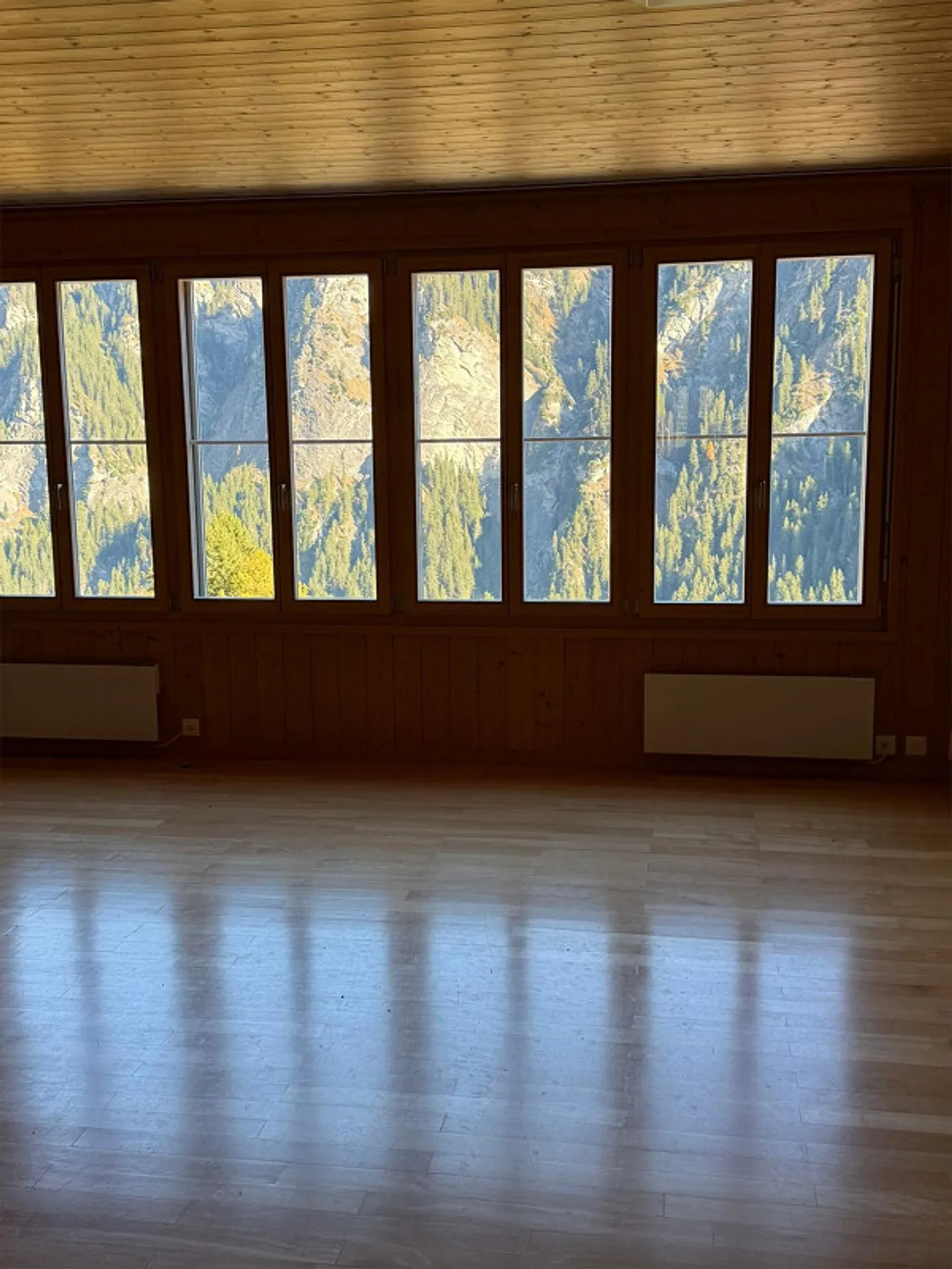 Appartamento accogliente di 3,5 stanze a Zalön, Safien disponibile immediatamente o su appuntamento - Foto 5 di 19