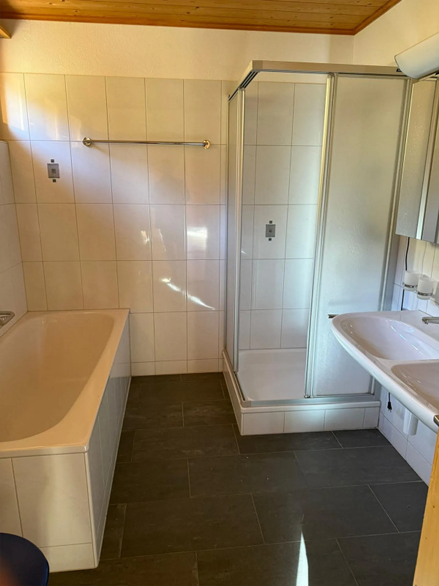 Appartamento accogliente di 3,5 stanze a Zalön, Safien disponibile immediatamente o su appuntamento - Foto 11 di 19