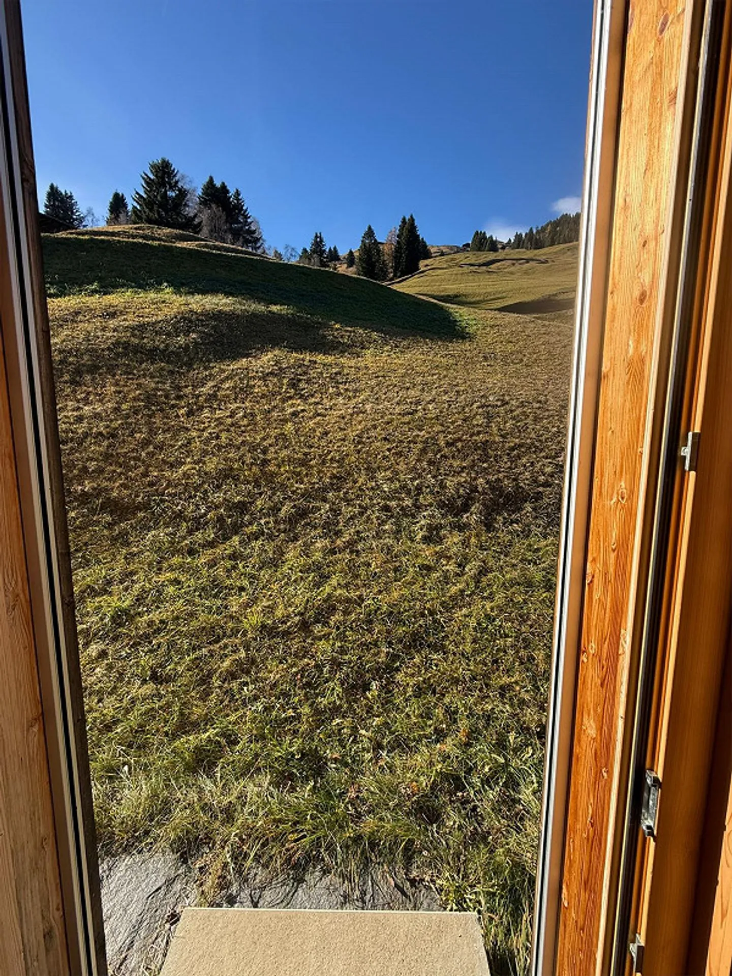 Appartamento accogliente di 3,5 stanze a Zalön, Safien disponibile immediatamente o su appuntamento - Foto 19 di 19