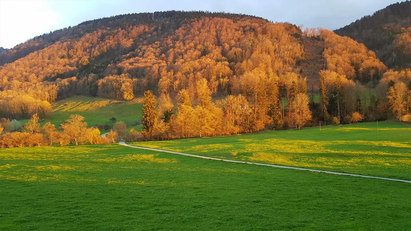 Maison individuelle à louer dans un quartier calme - Photo 1 sur 2