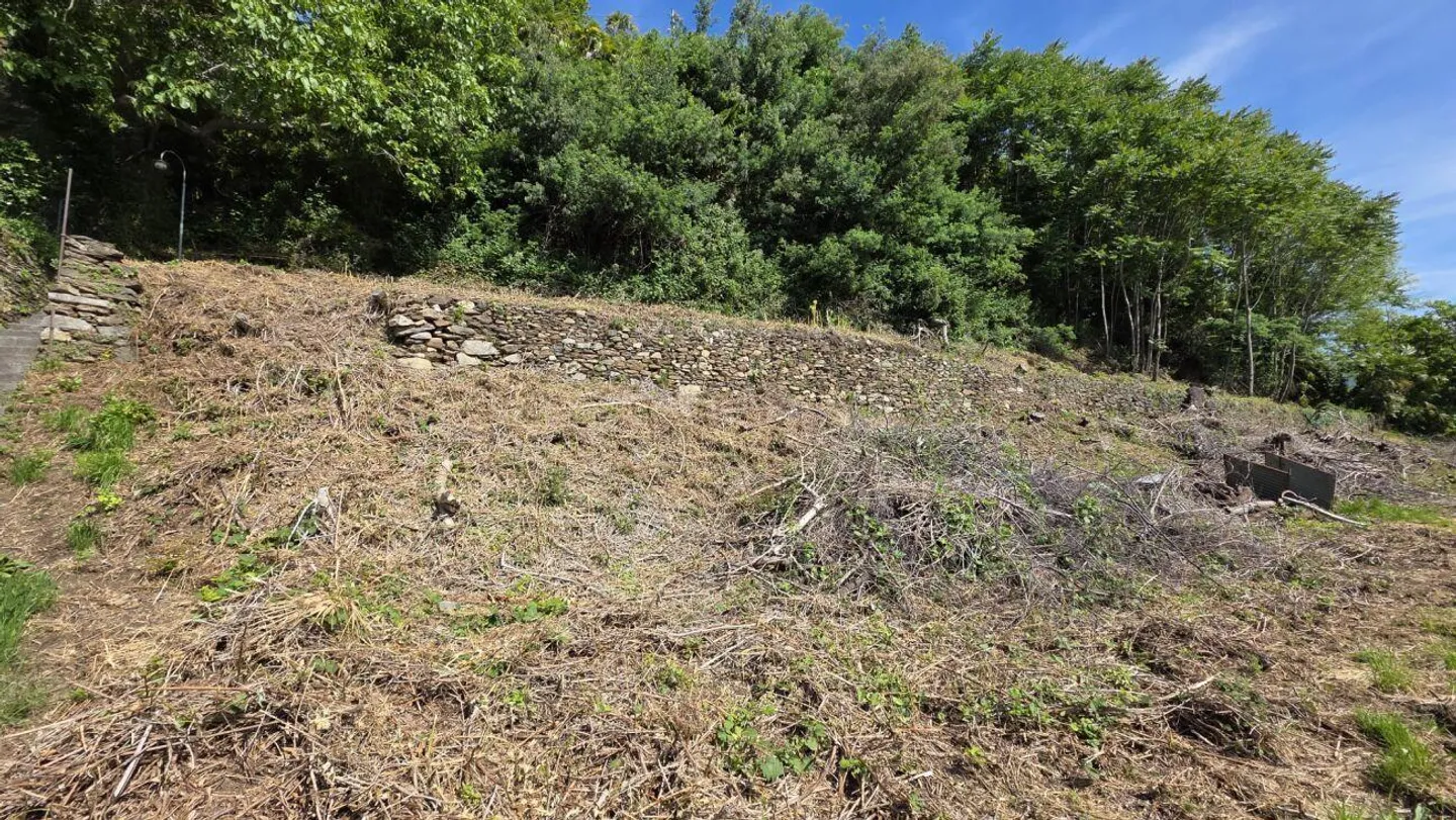Terreno Incantevole al Lago Maggiore - Foto 5 di 5