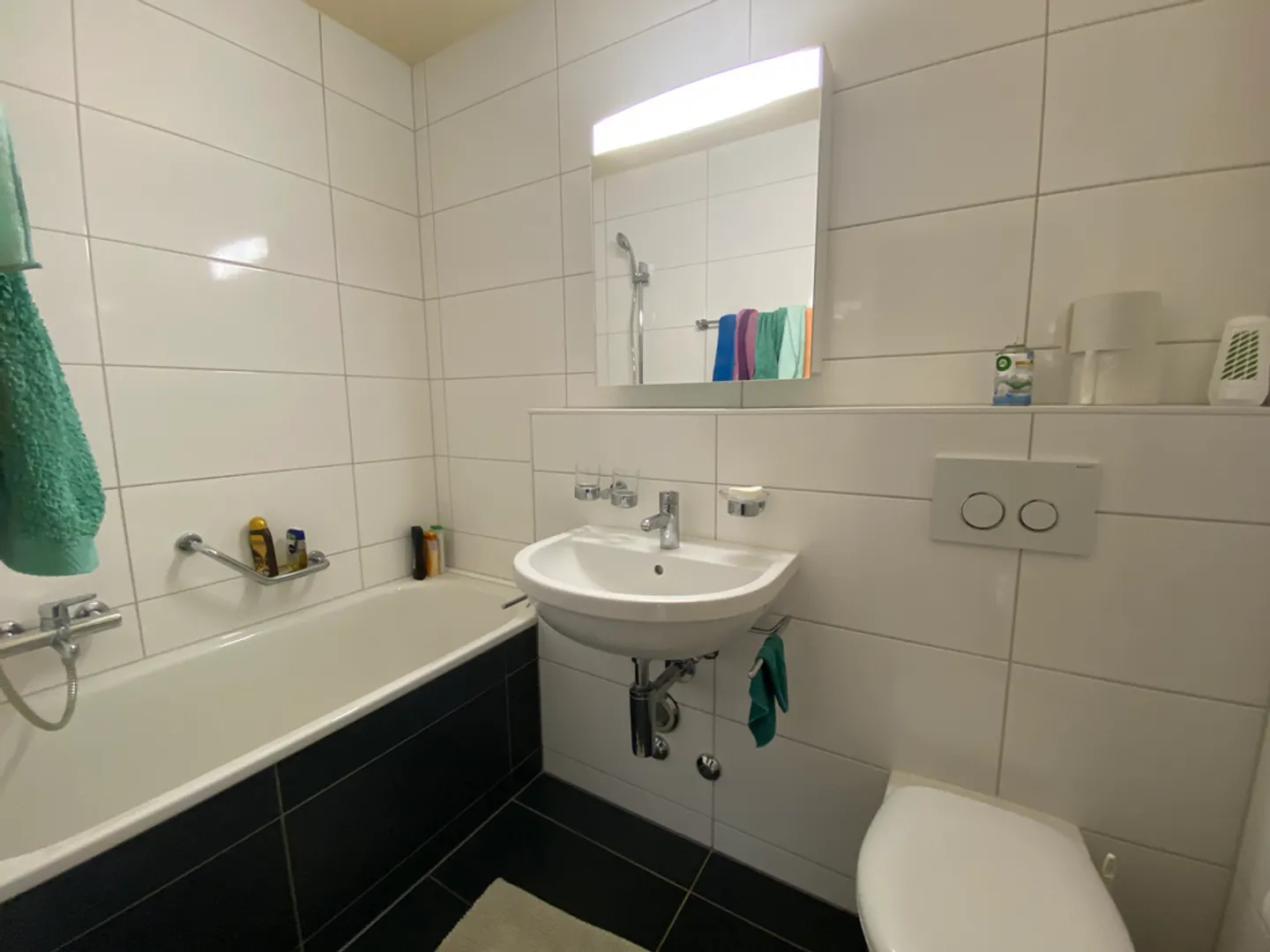 1.5 Room Apartment - Photo 4 of 5