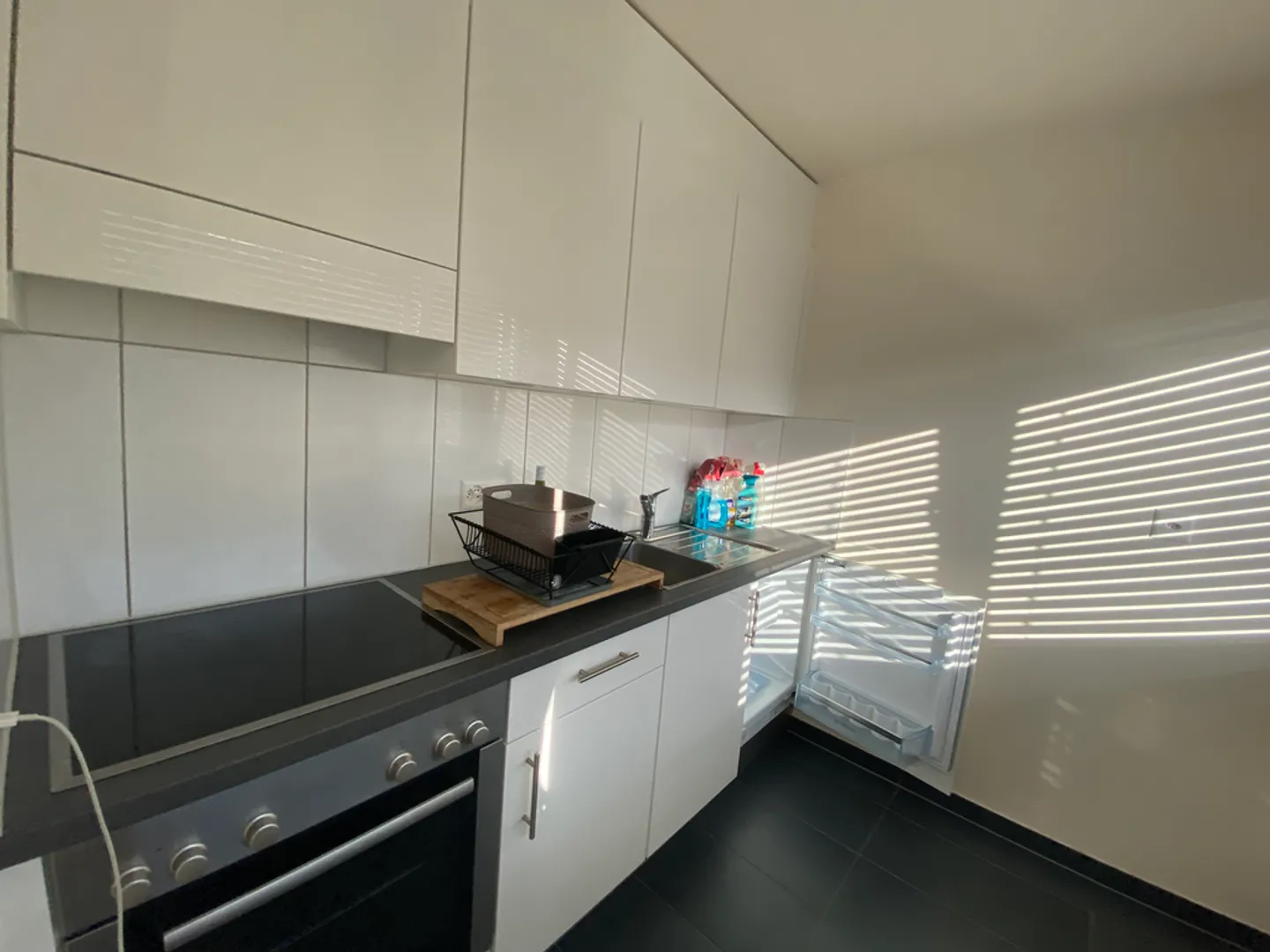 1.5 Room Apartment - Photo 3 of 5