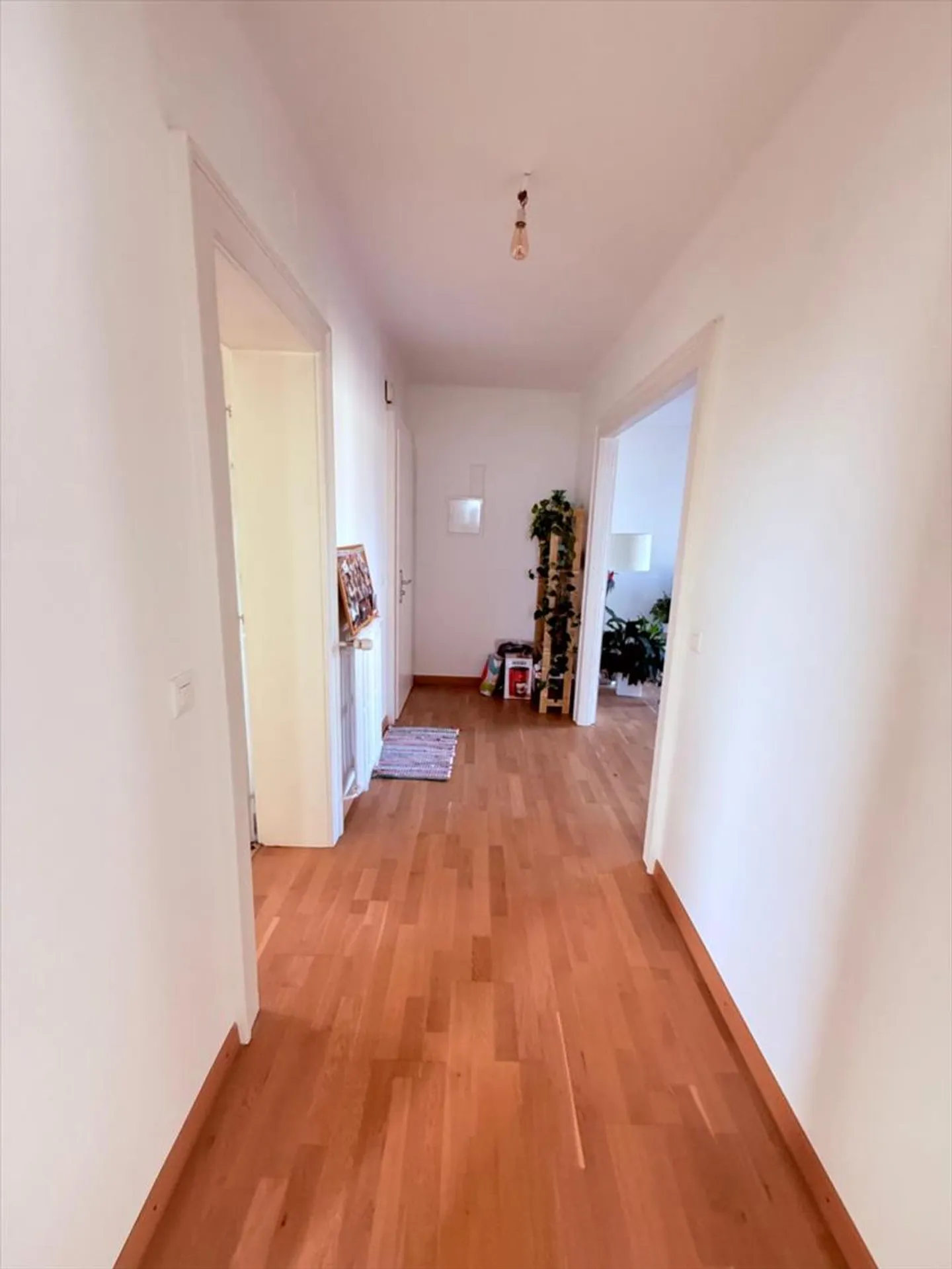 Appartamento 3.5 locali - Foto 8 di 9