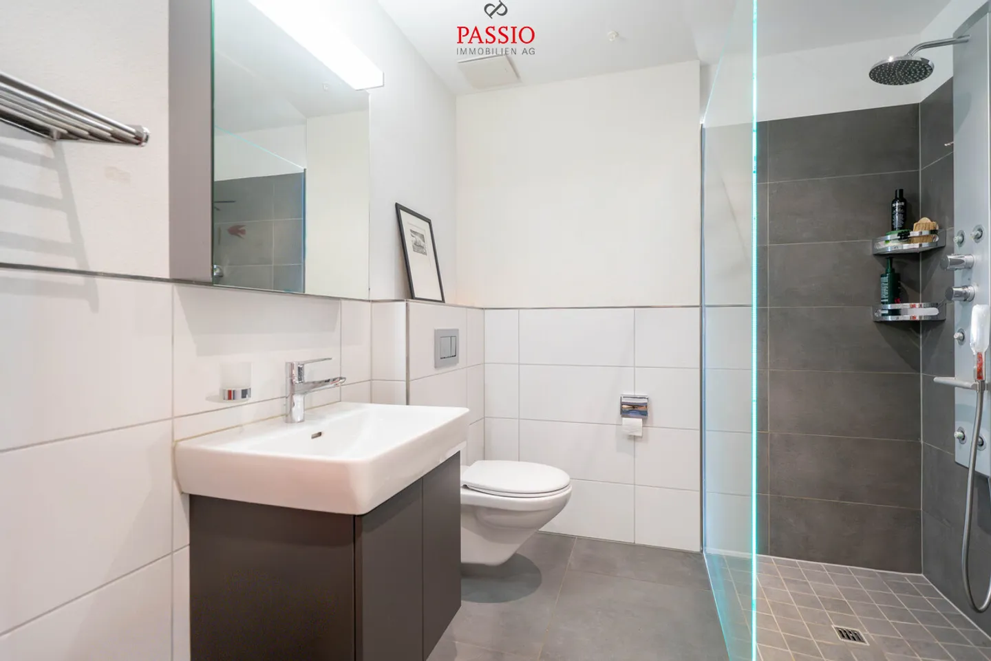 Modern 4.5-room apartment with large balcony and canal view - Photo 15 of 18