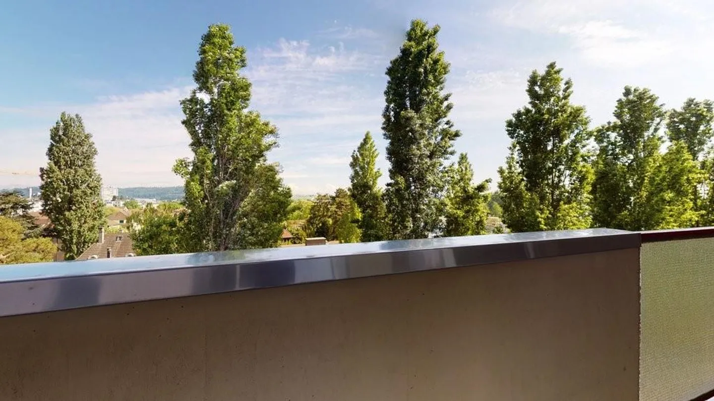 Freshly renovated apartment with view of the Alps - Photo 2 of 9