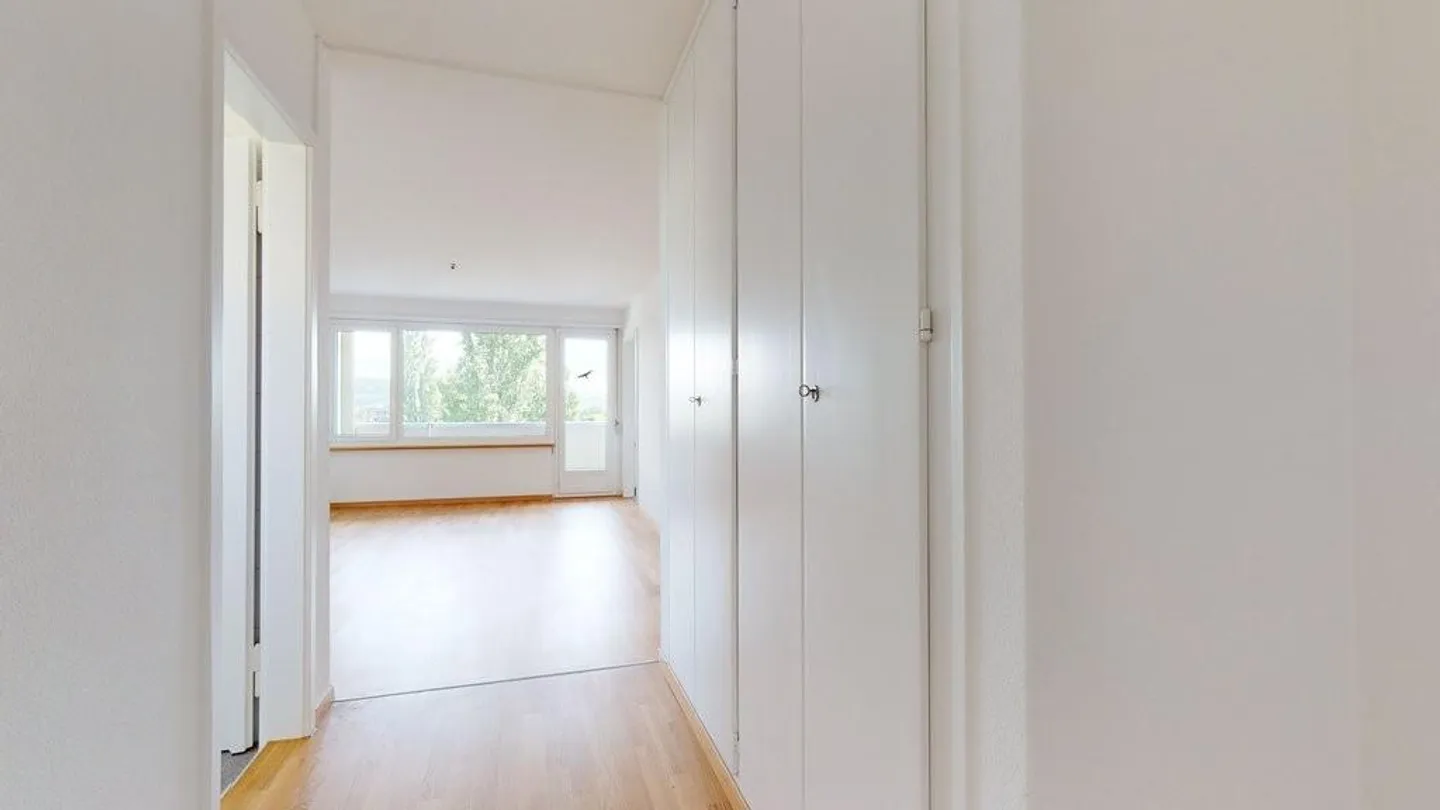 Freshly renovated apartment with view of the Alps - Photo 4 of 9