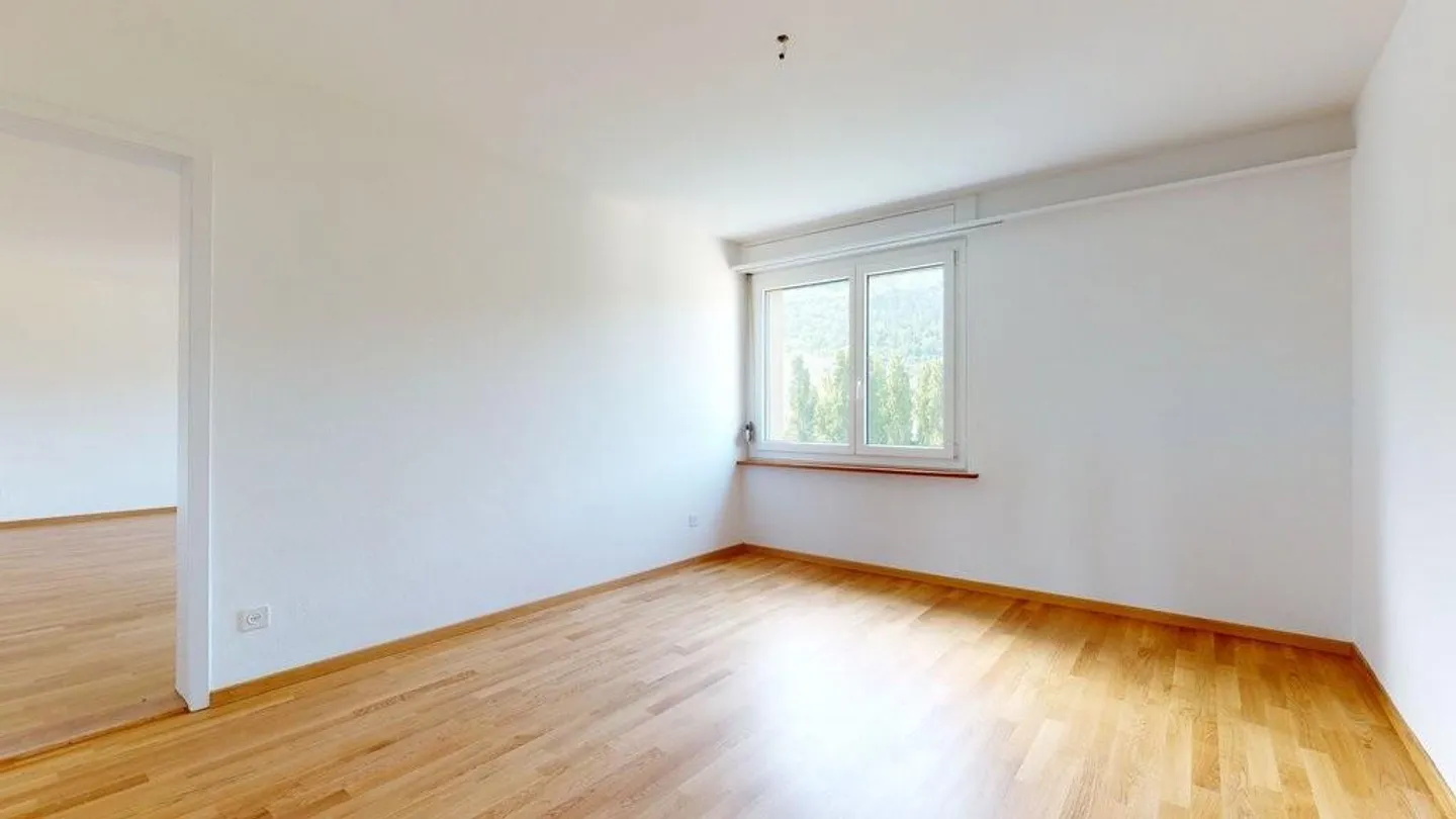 Freshly renovated apartment with view of the Alps - Photo 5 of 9