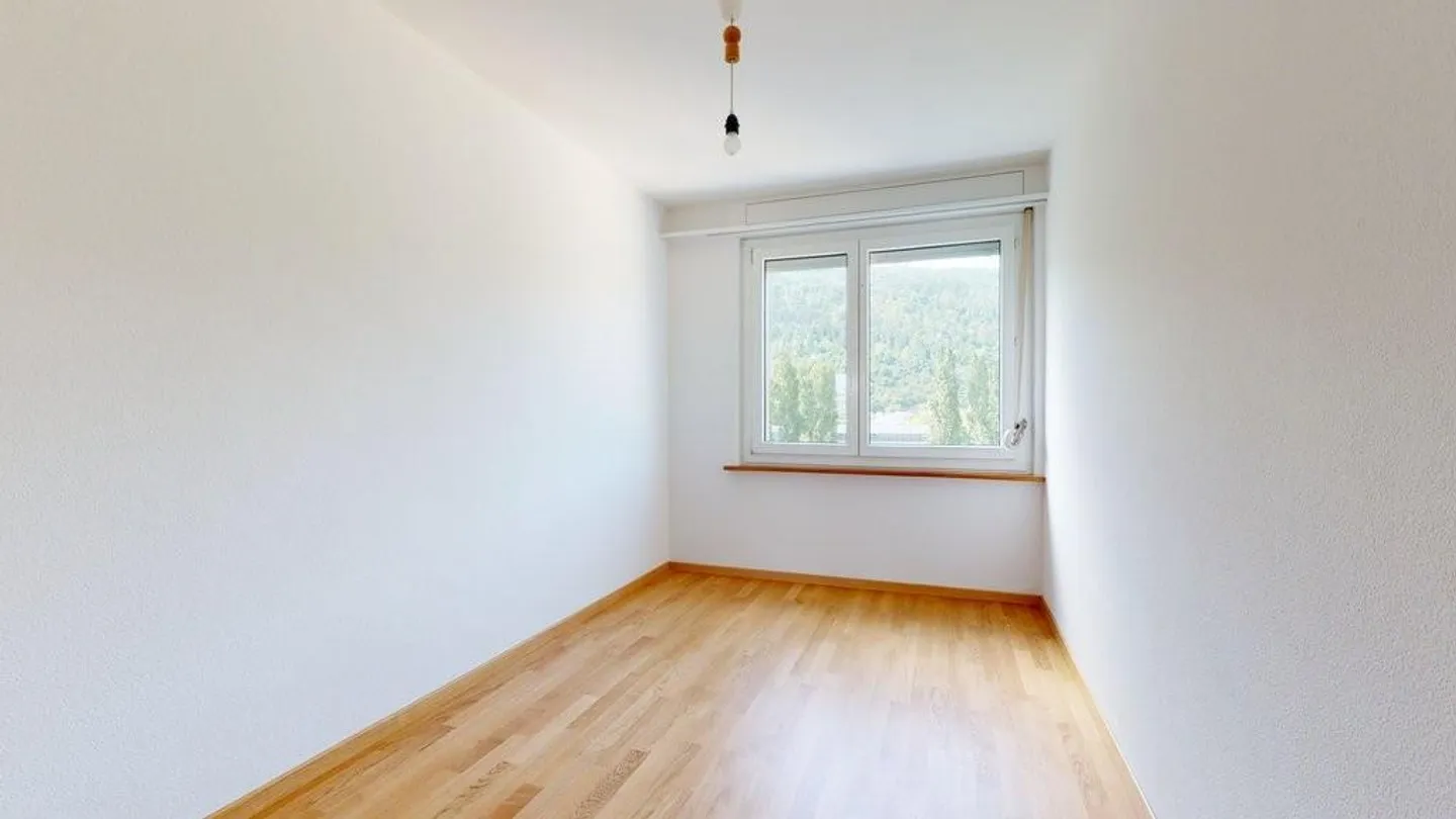Freshly renovated apartment with view of the Alps - Photo 6 of 9