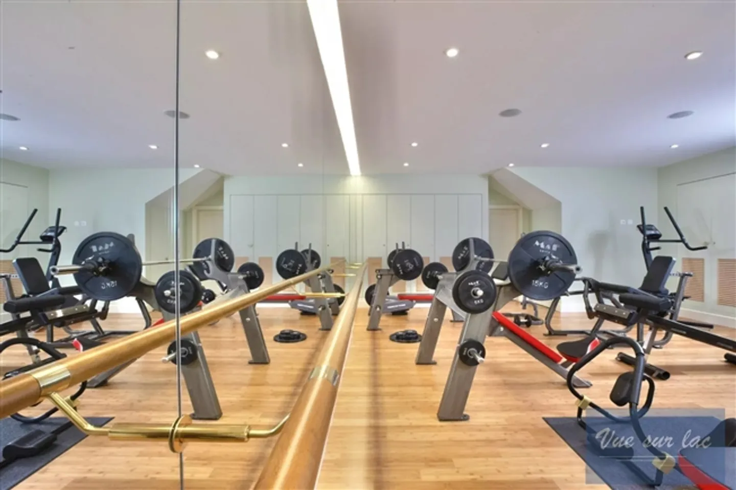 Bellissimo palazzo nel cuore di un parco con vista sul lago - Foto 2 di 11