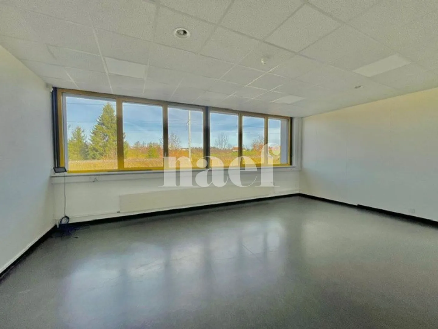 Industria 8 pezzi - Foto 5 di 9