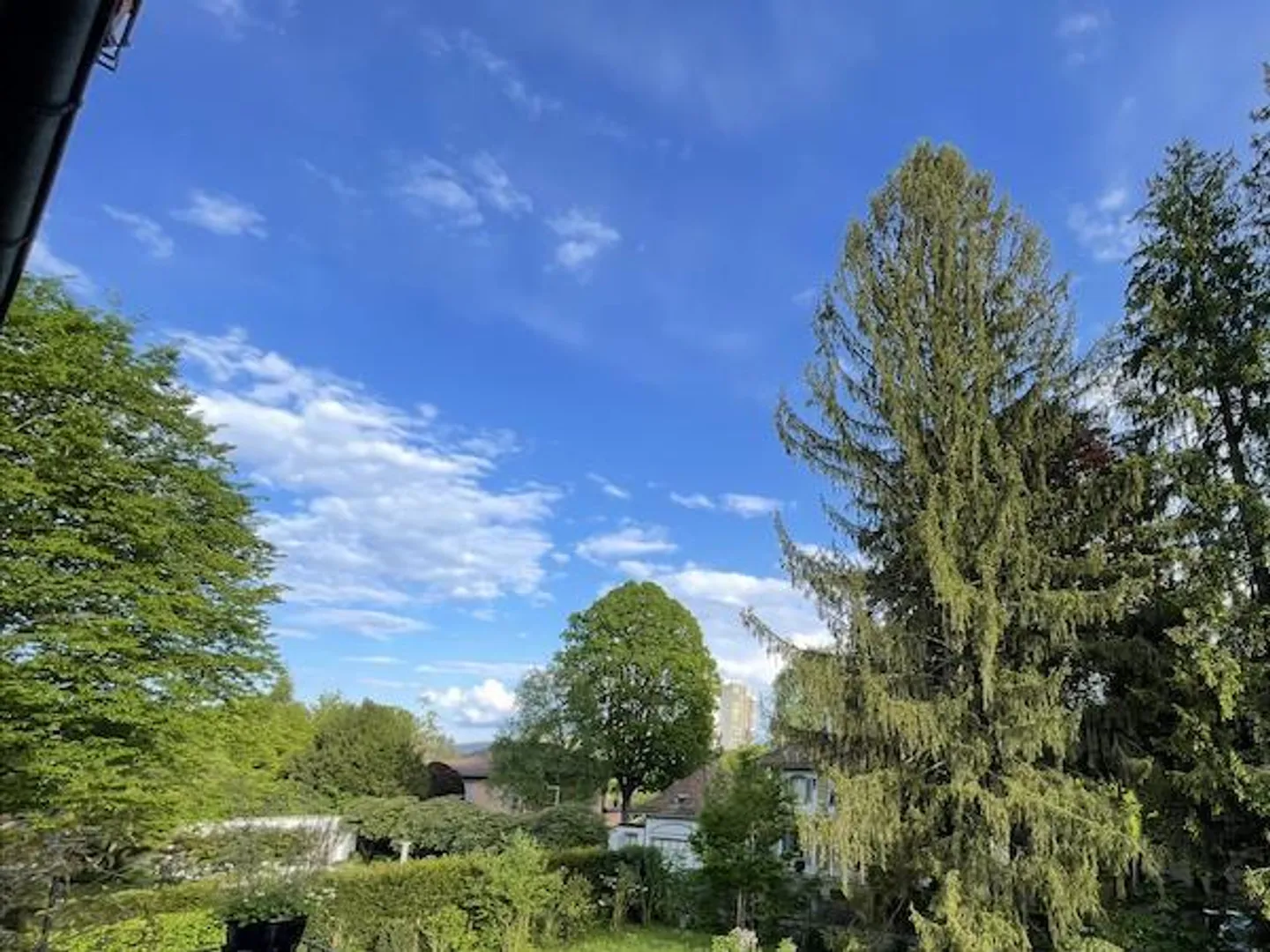 Beautiful South Room including shared use of 5-room apartment - Photo 8 of 8