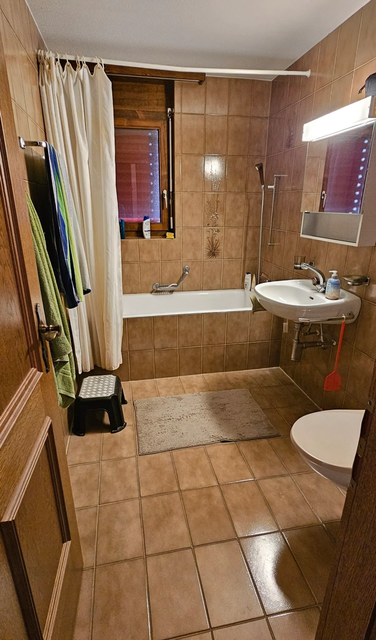 Appartamento di 3,5 locali situato in zona tranquilla a Steg VS - pronto per essere abitato - Foto 9 di 9