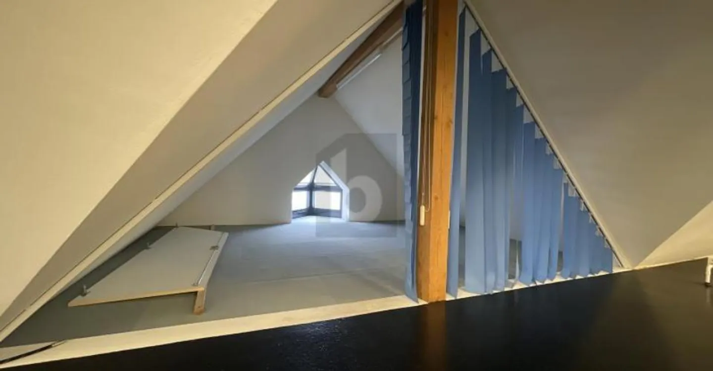 Einzigartiges Loft mit rustikalem Charme - Foto 5 von 6