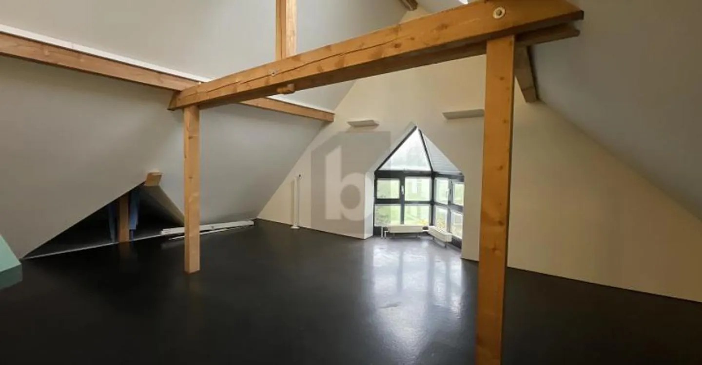 Einzigartiges Loft mit rustikalem Charme - Foto 3 von 6
