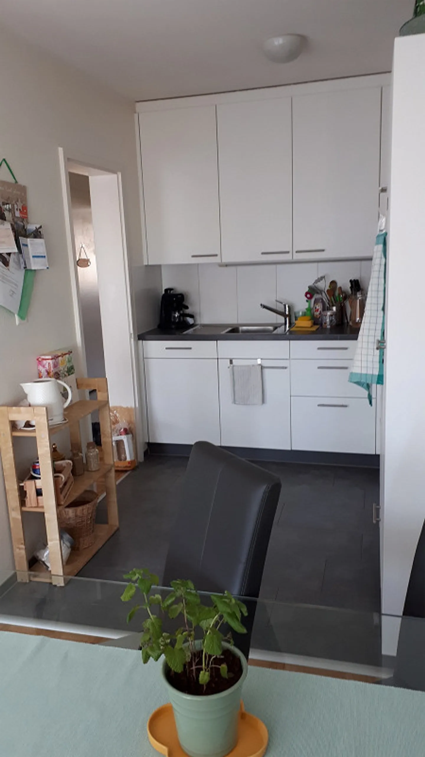 Charmante Wohnung in Ruhiger Lage - Foto 3 von 9