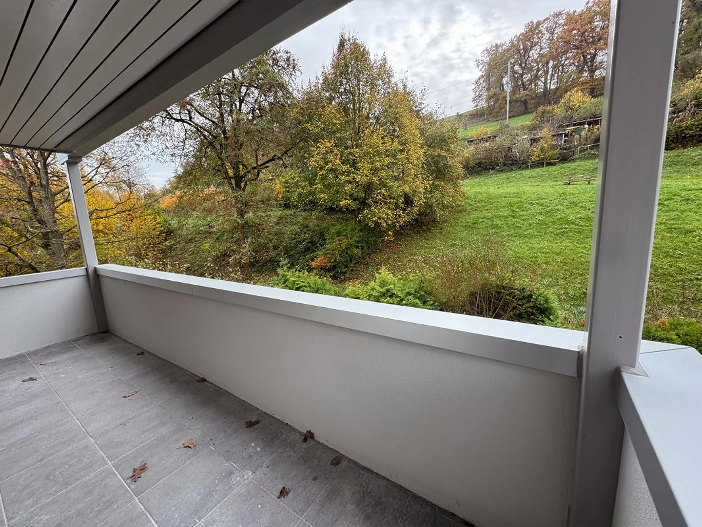 Living on the City Border of Zurich - Photo 1 of 5