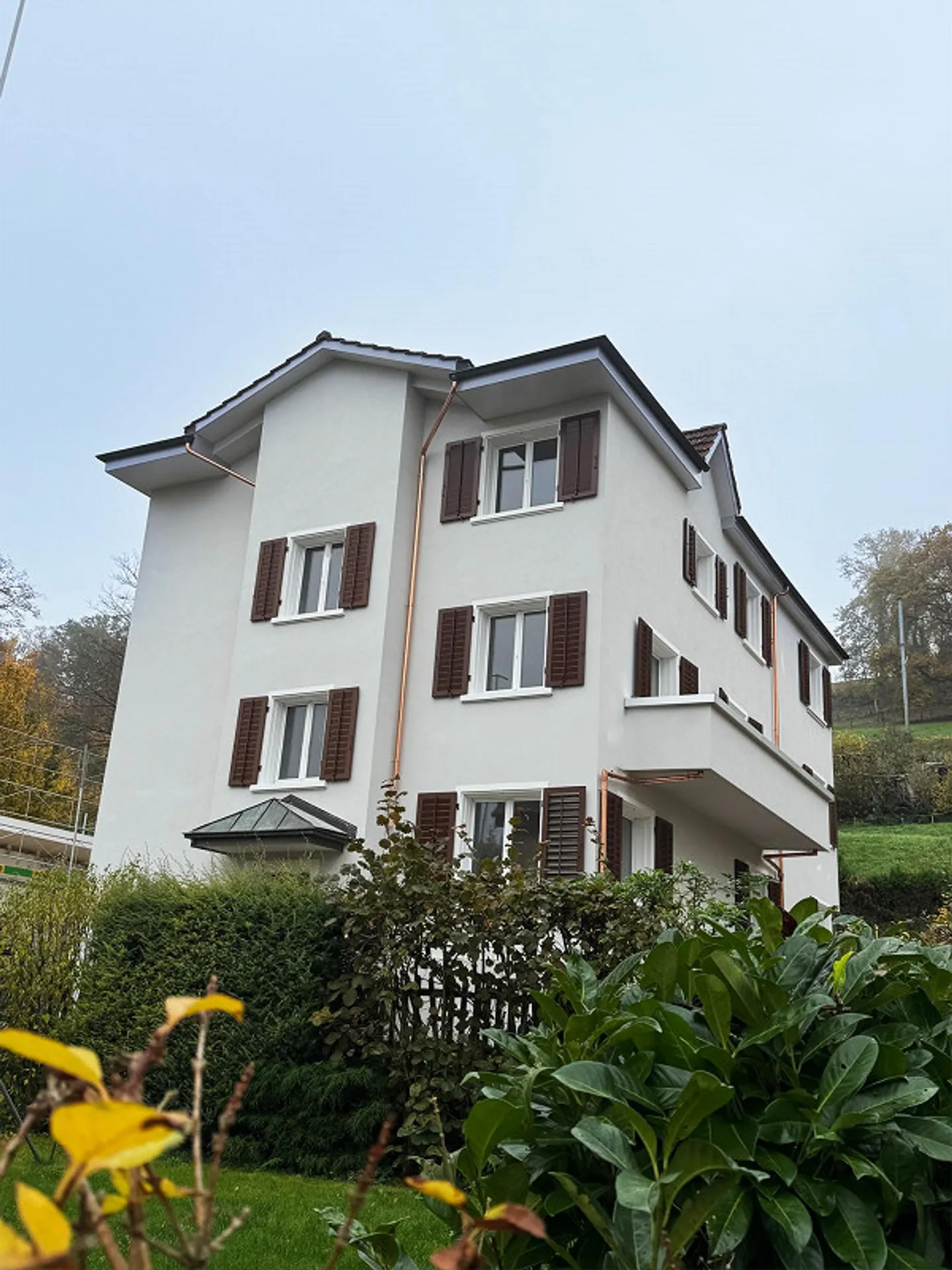 Living on the City Border of Zurich - Photo 2 of 5