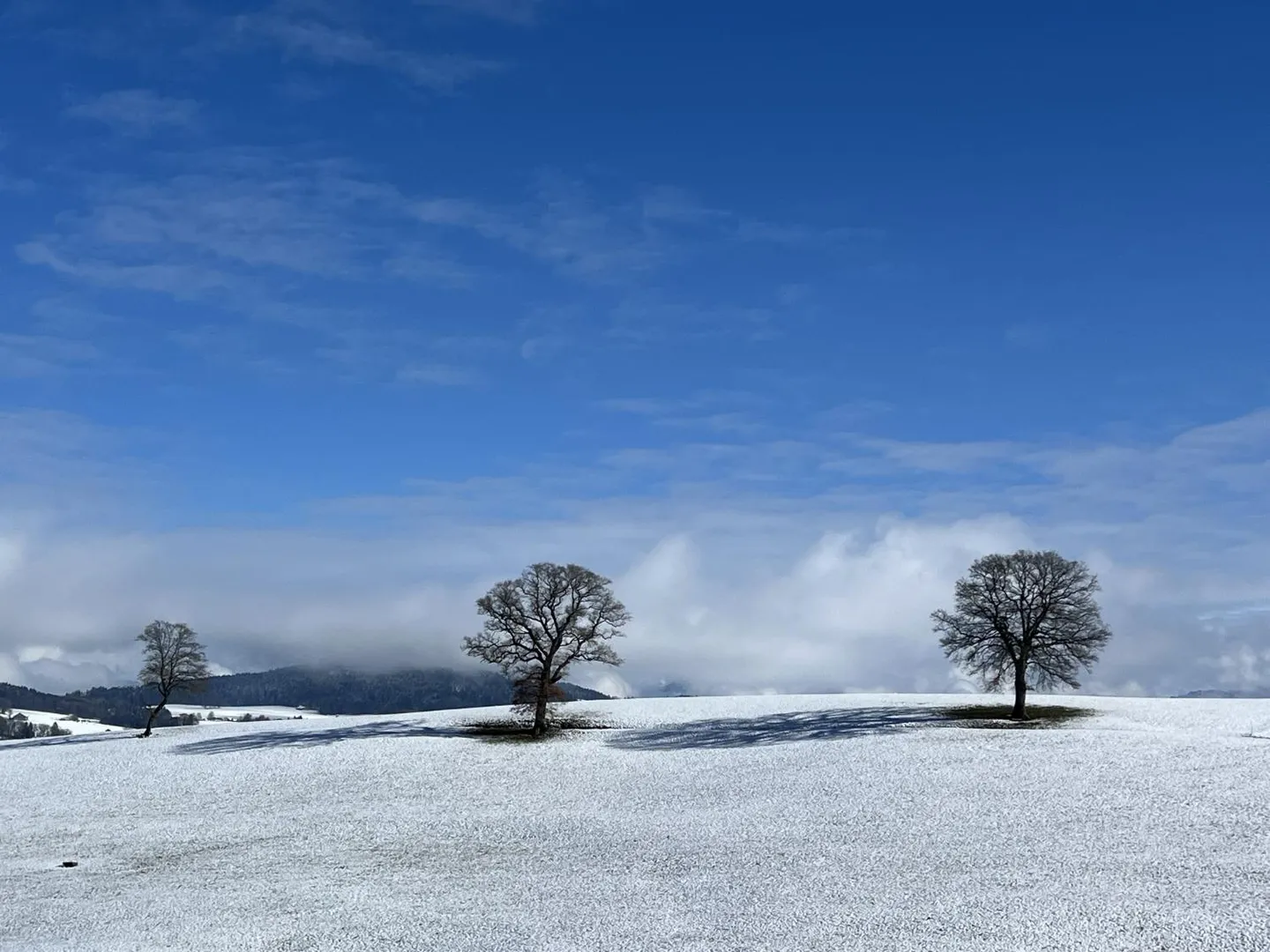 Old Glaunaise Farm with Two Dwellings and Outbuildings - Photo 6 of 13