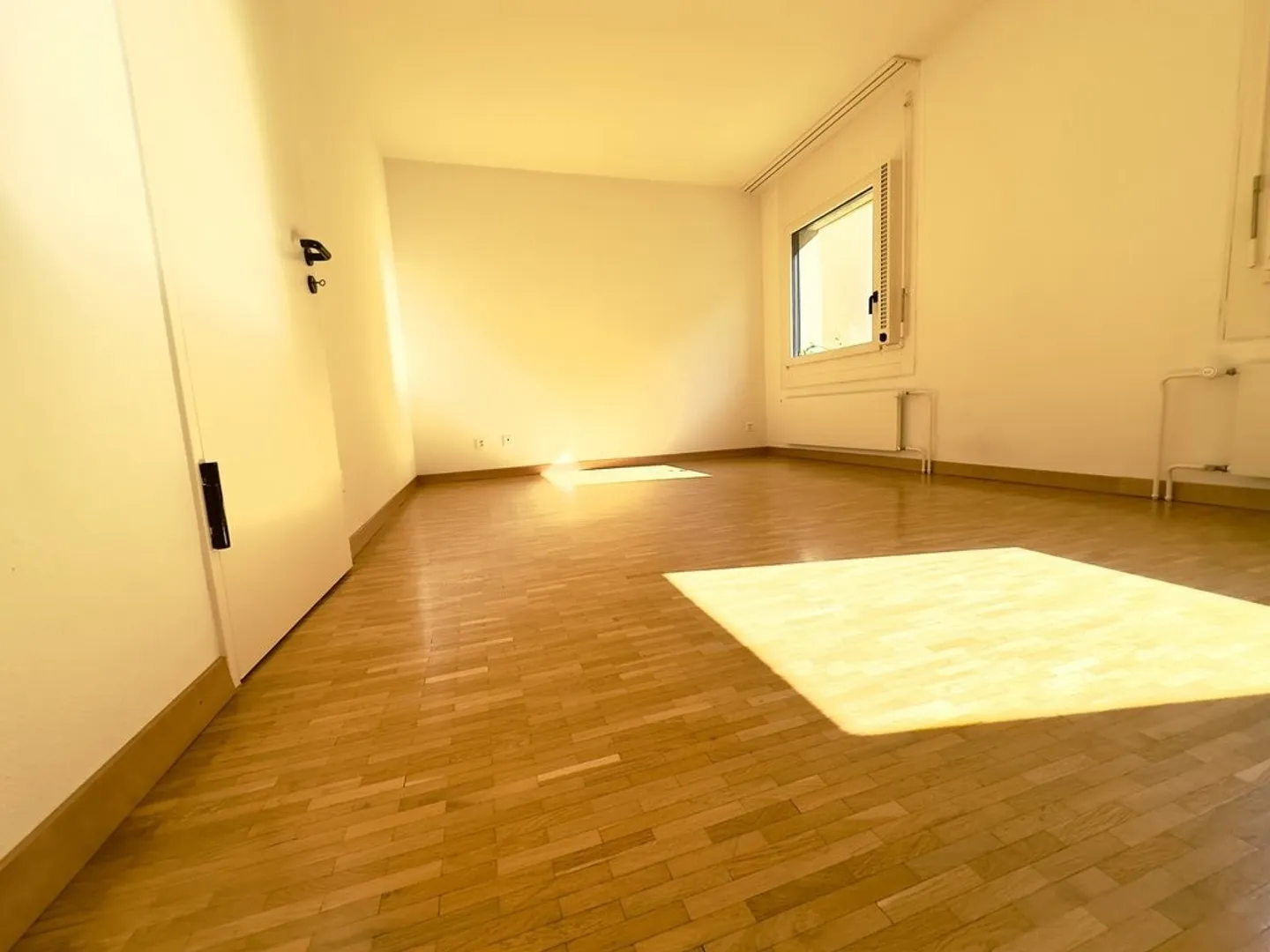 Superb duplex with private garden in Plainpalais - Photo 5 of 9