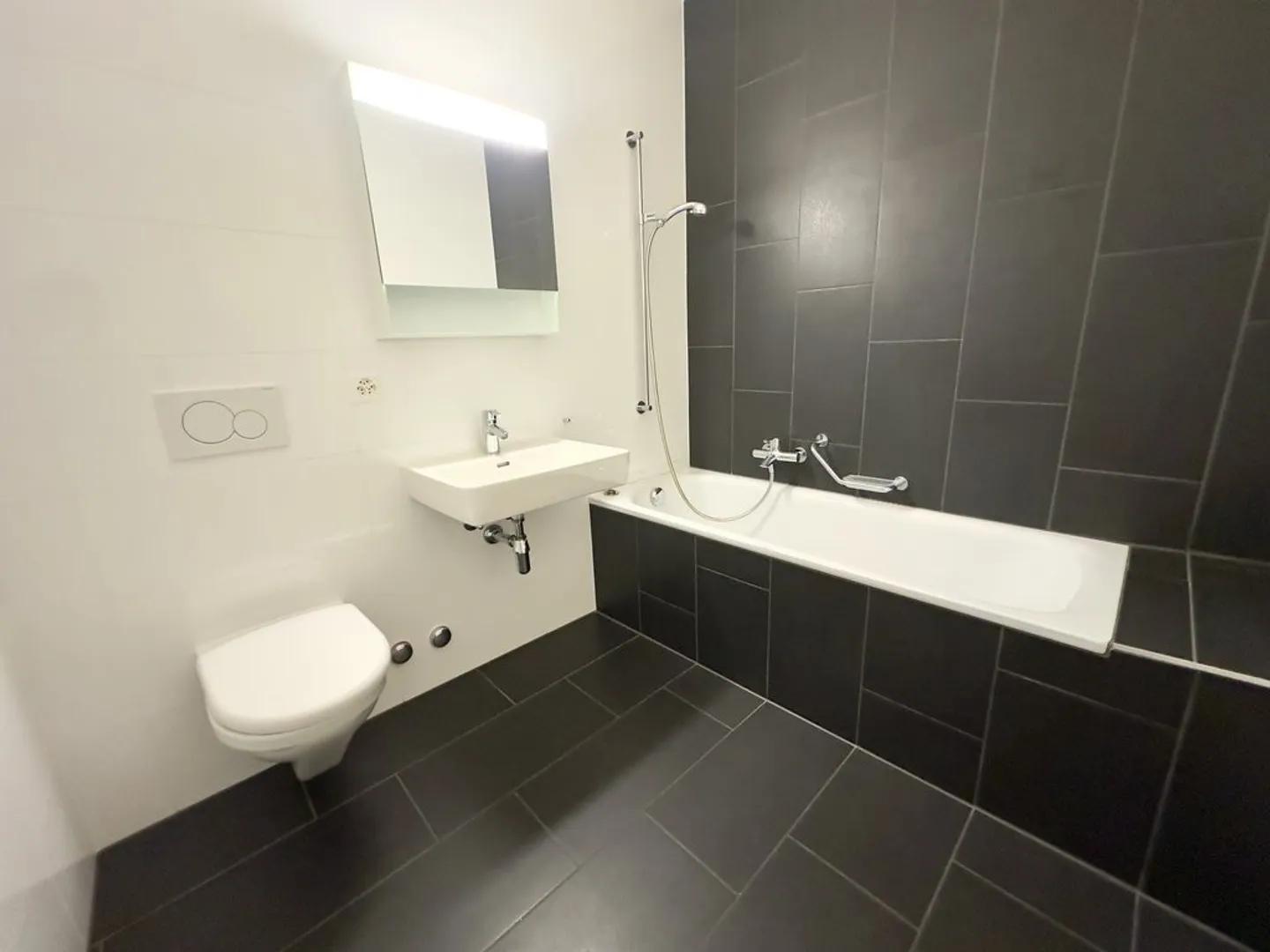 Superb duplex with private garden in Plainpalais - Photo 6 of 9