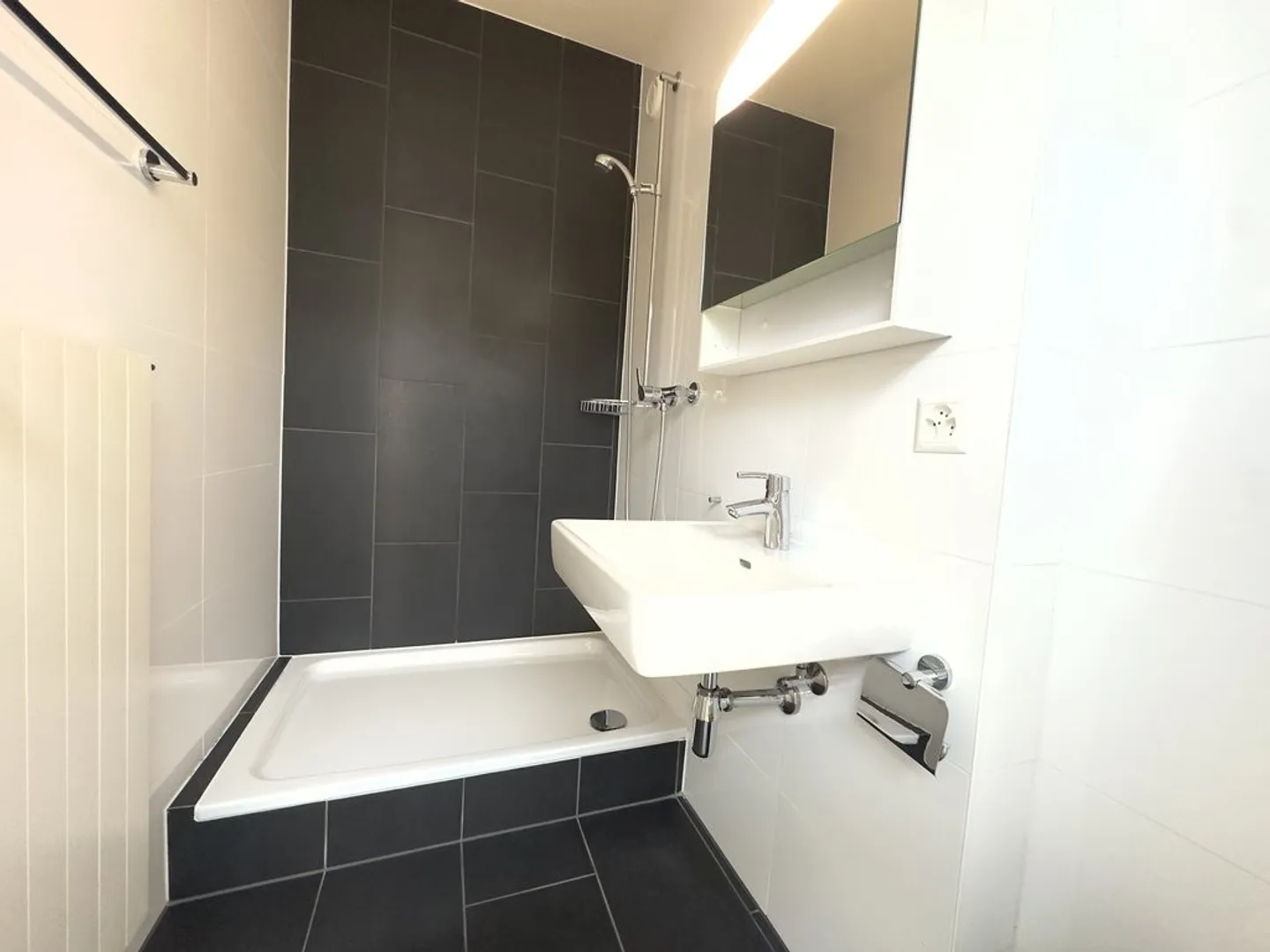 Superb duplex with private garden in Plainpalais - Photo 7 of 9