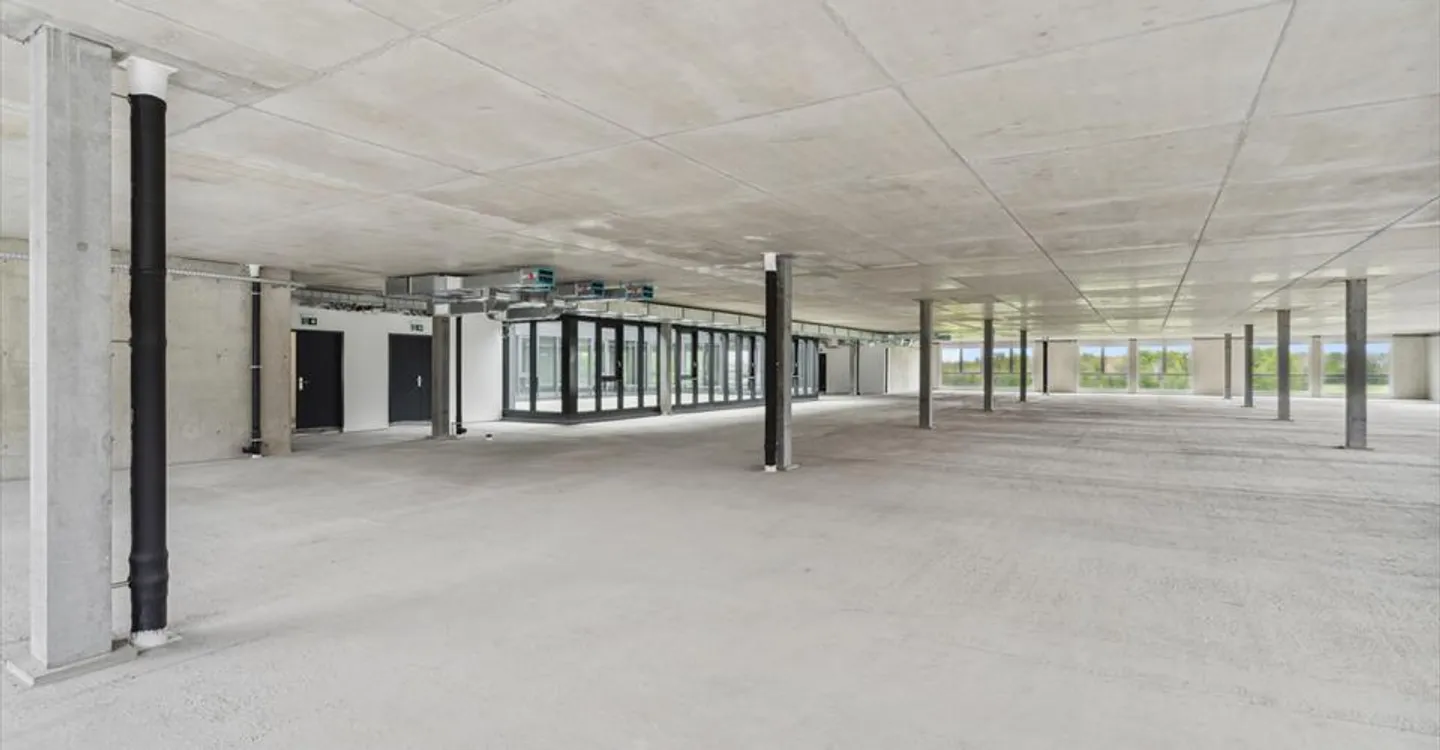 Nuovo a Gland - Grande superficie commerciale - industriale / 600m2 - Foto 4 di 12