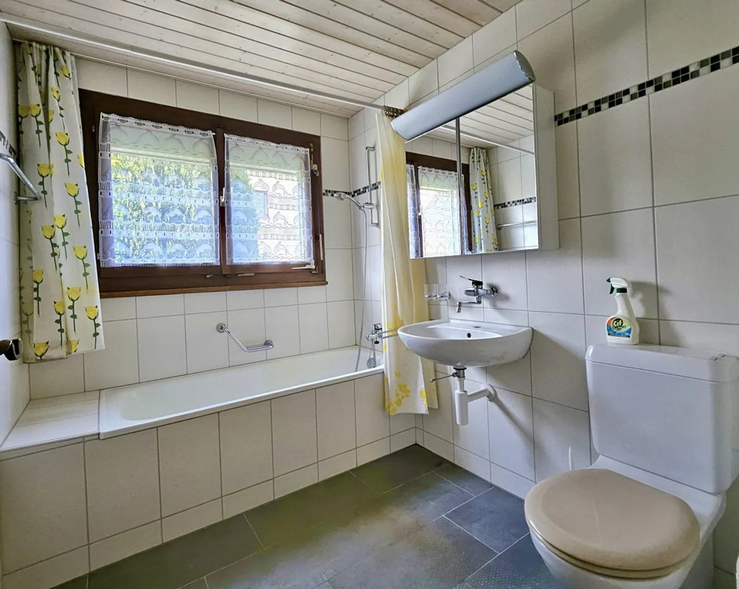 Attraente casa di 9 1/2 stanze con 2 appartamenti e terreno edificabile (proprietà d'investimento) - Foto 17 di 21