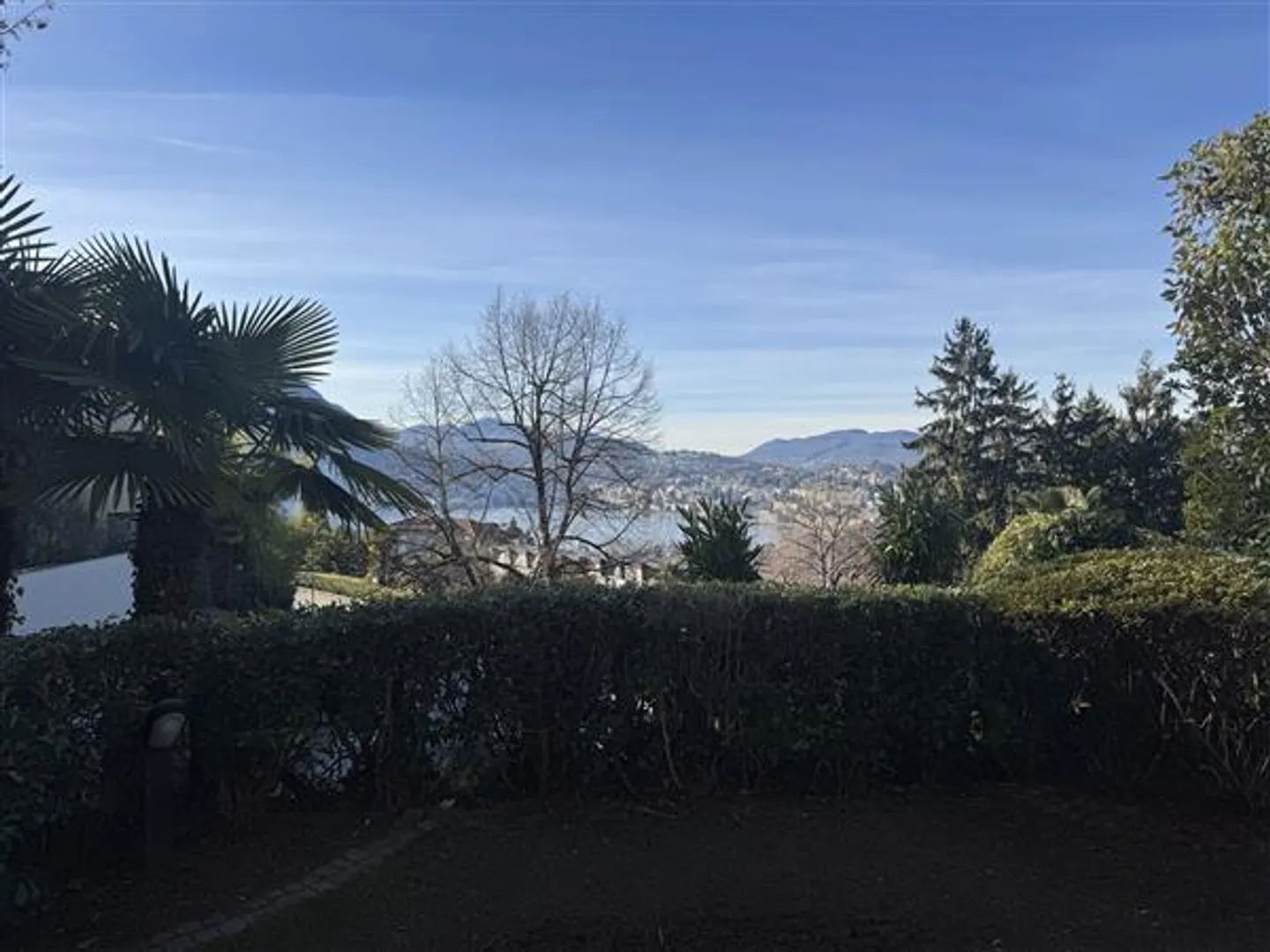 Viganello: 4.5 Room Apartment - Photo 12 of 12