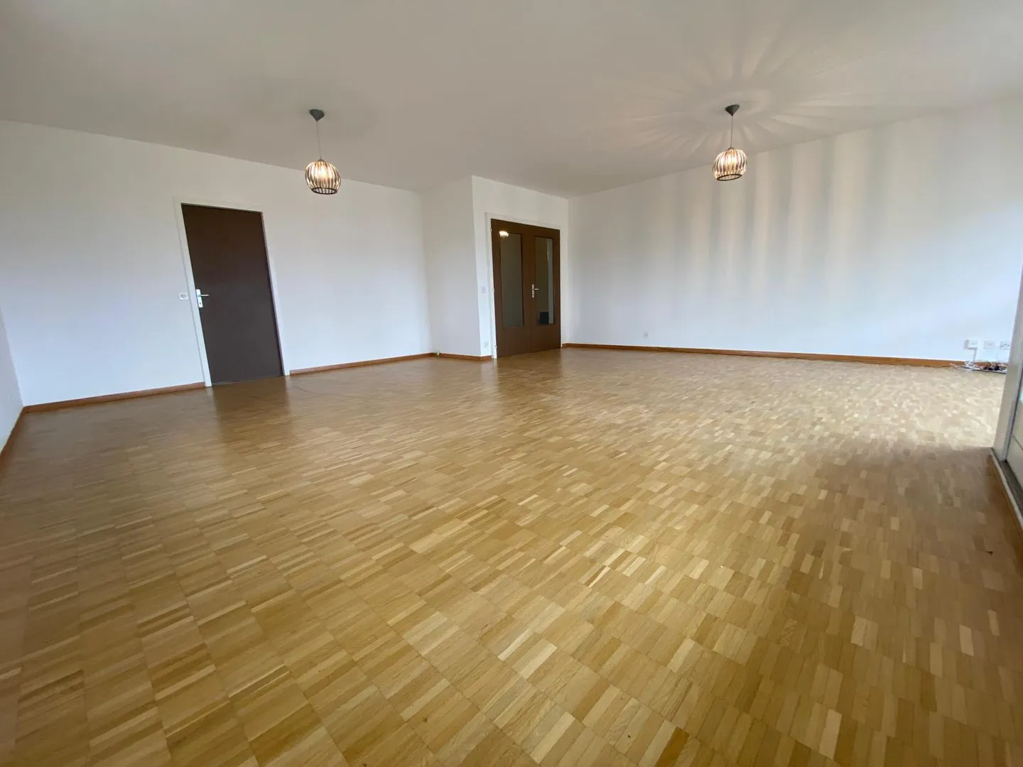 Exclusive listing ? Renovated 4-bedroom apartment, 177 sqm PPE, panoramic 180 view on the 7th floor (Meyrin) - Photo 8 of 10