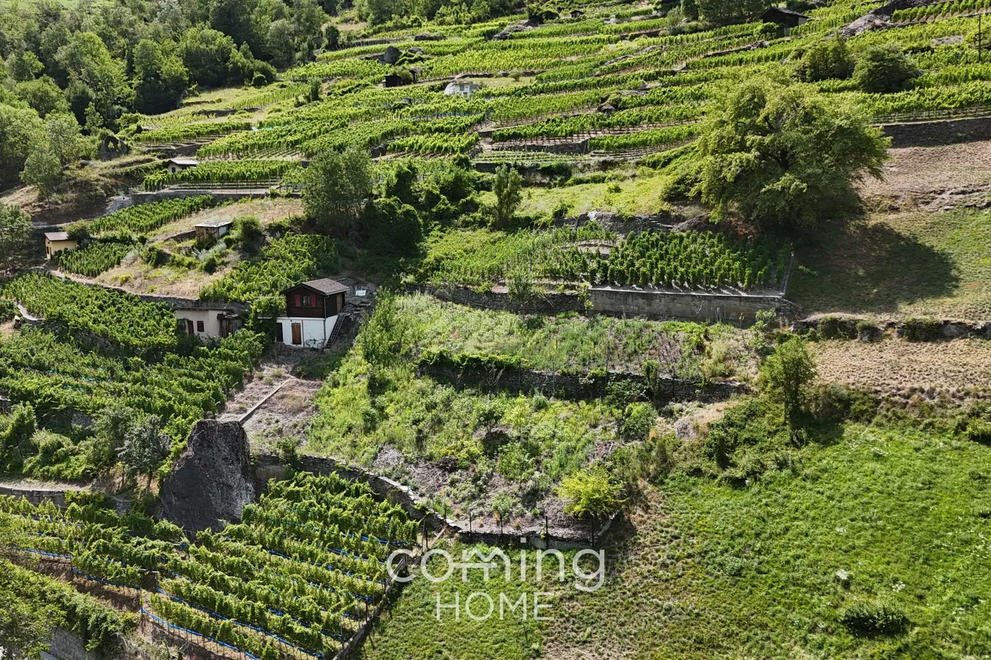 Terreno viticolo con cottage viticolo a Stalden - viticoltura nella valle di Vispertal - Foto 1 di 9