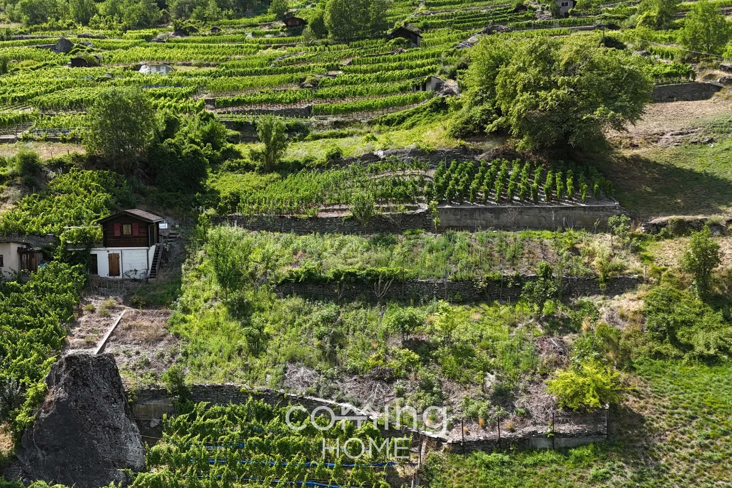 Terreno viticolo con cottage viticolo a Stalden - viticoltura nella valle di Vispertal - Foto 3 di 9