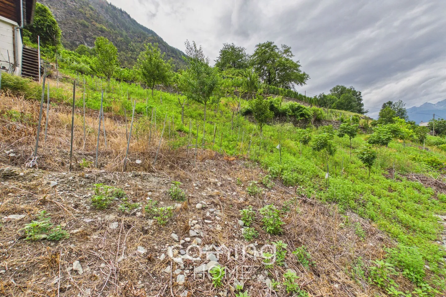 Terreno viticolo con cottage viticolo a Stalden - viticoltura nella valle di Vispertal - Foto 8 di 9