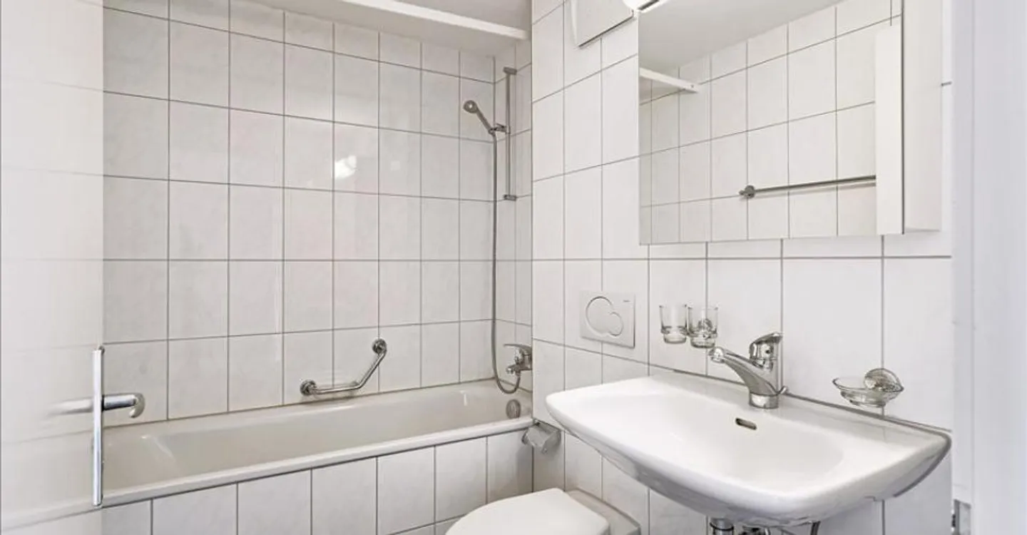 Geräumige Wohnung in Allschwil - Foto 5 von 8