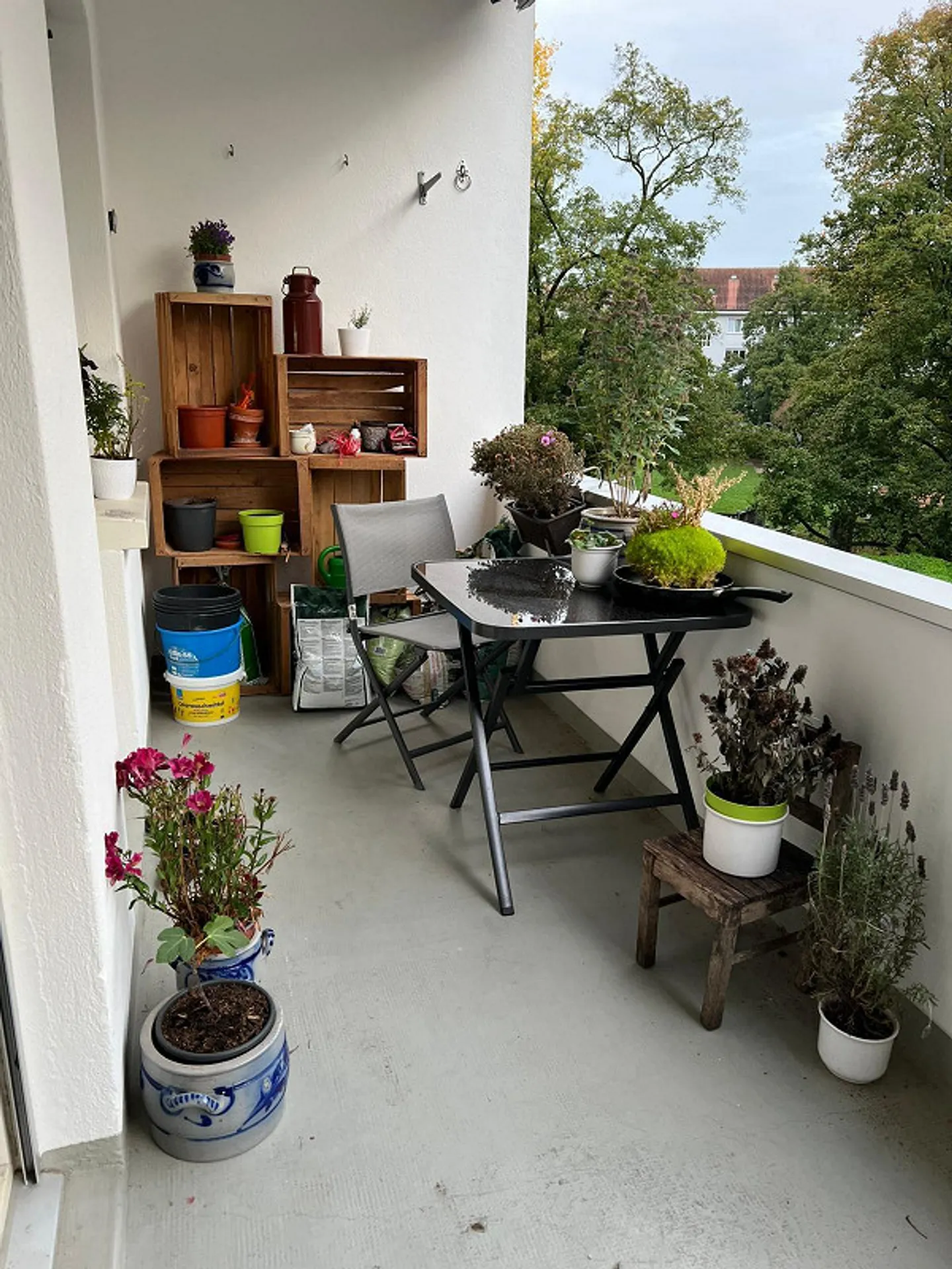 Helle 2-Zimmer-Wohnung mit Balkon - Foto 2 von 6