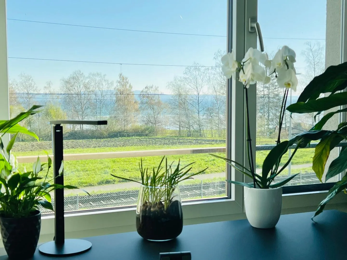 Möblierte Wohnung mit Seeblick - Foto 14 von 15