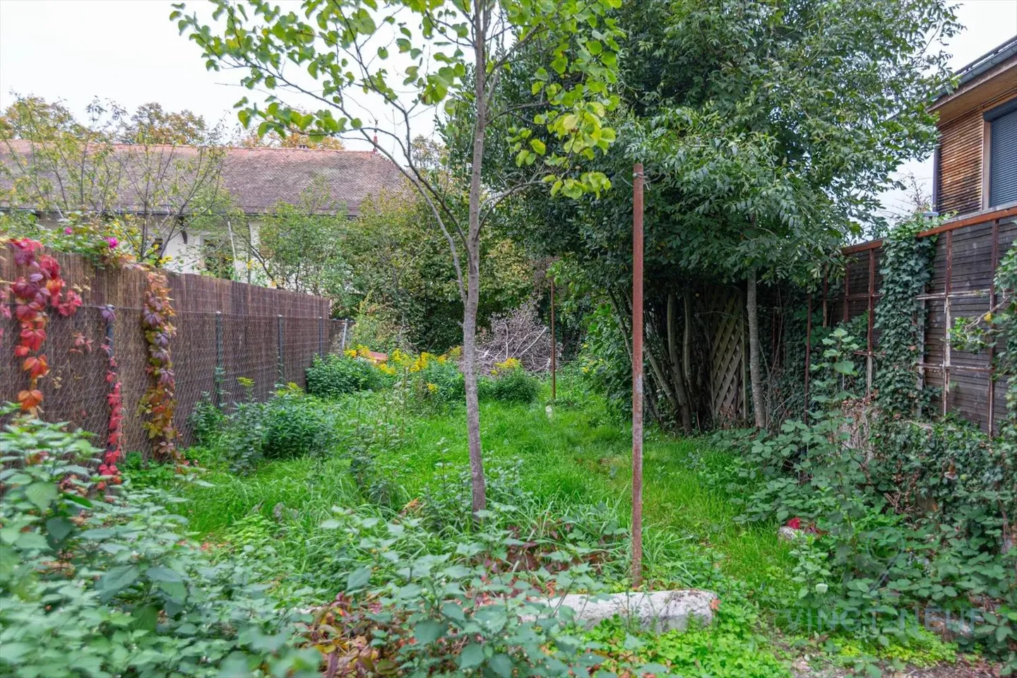 Appartamento ristrutturato di 2.5 locali a Chancy - Foto 8 di 8